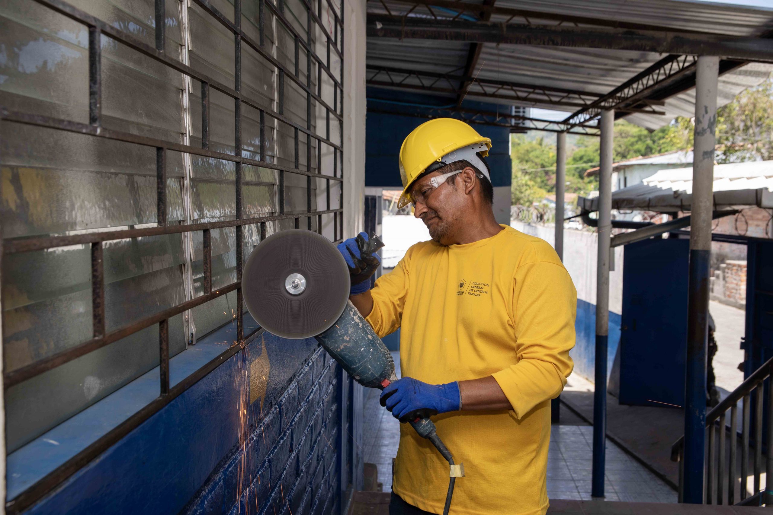 Imagen de la galería