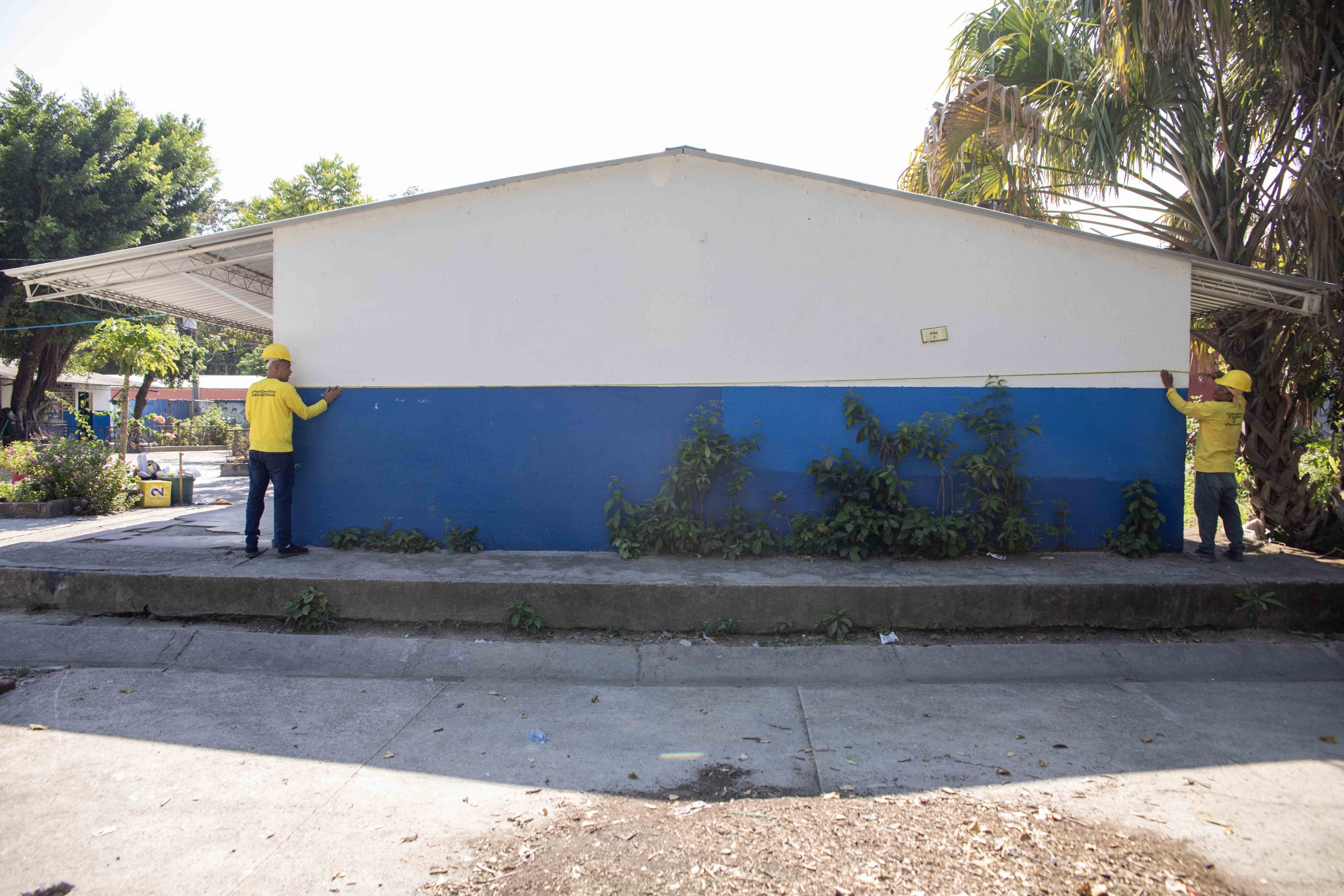 Imagen de la galería