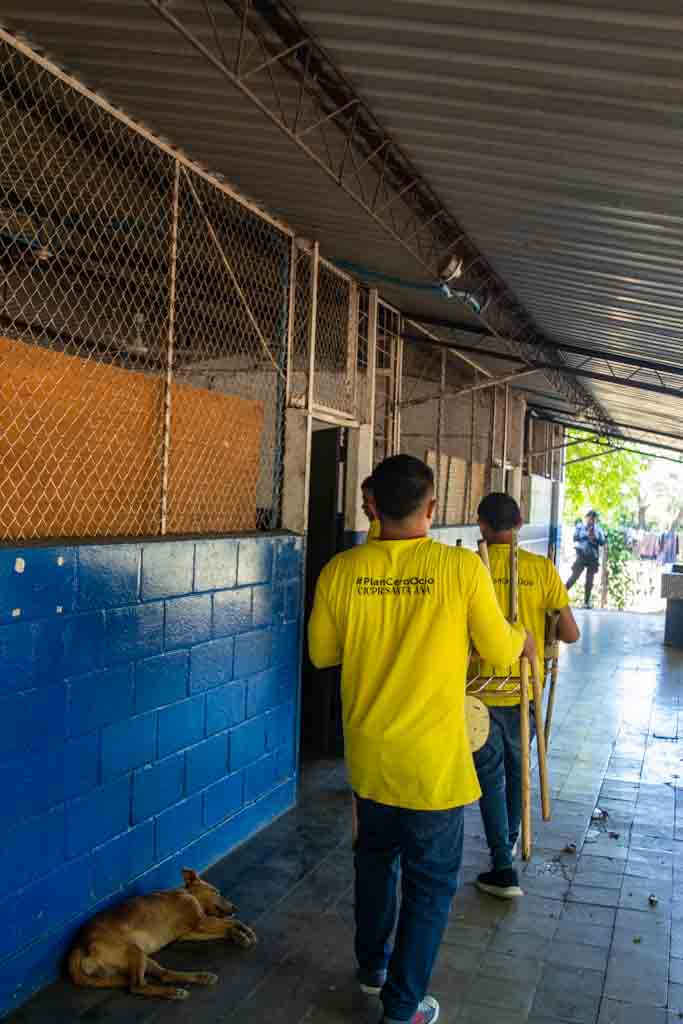 Imagen de la galería