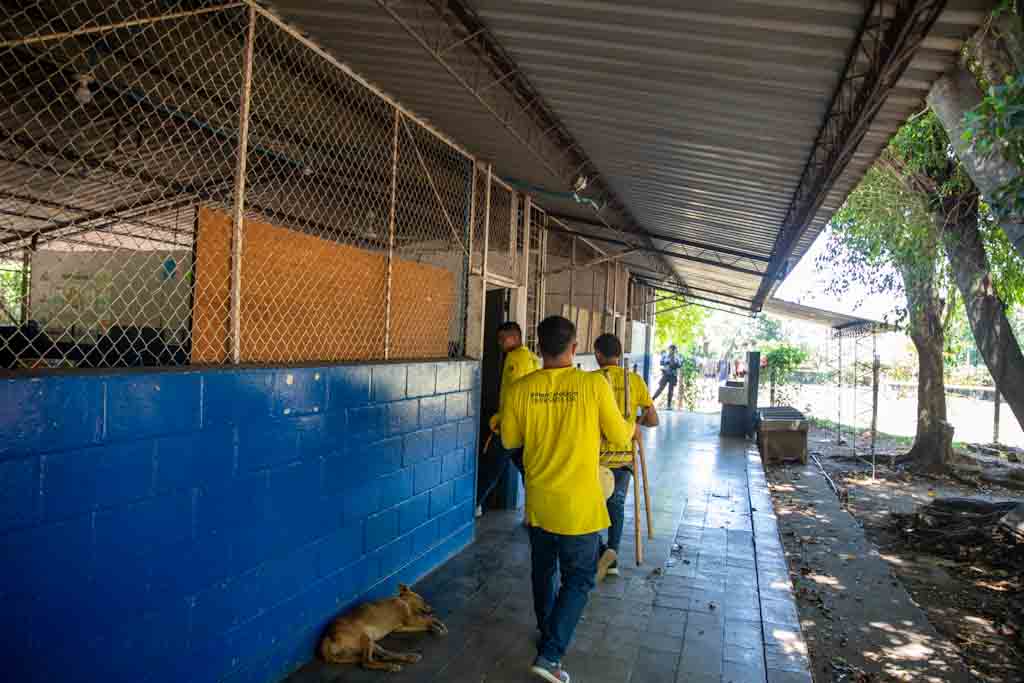 Imagen de la galería