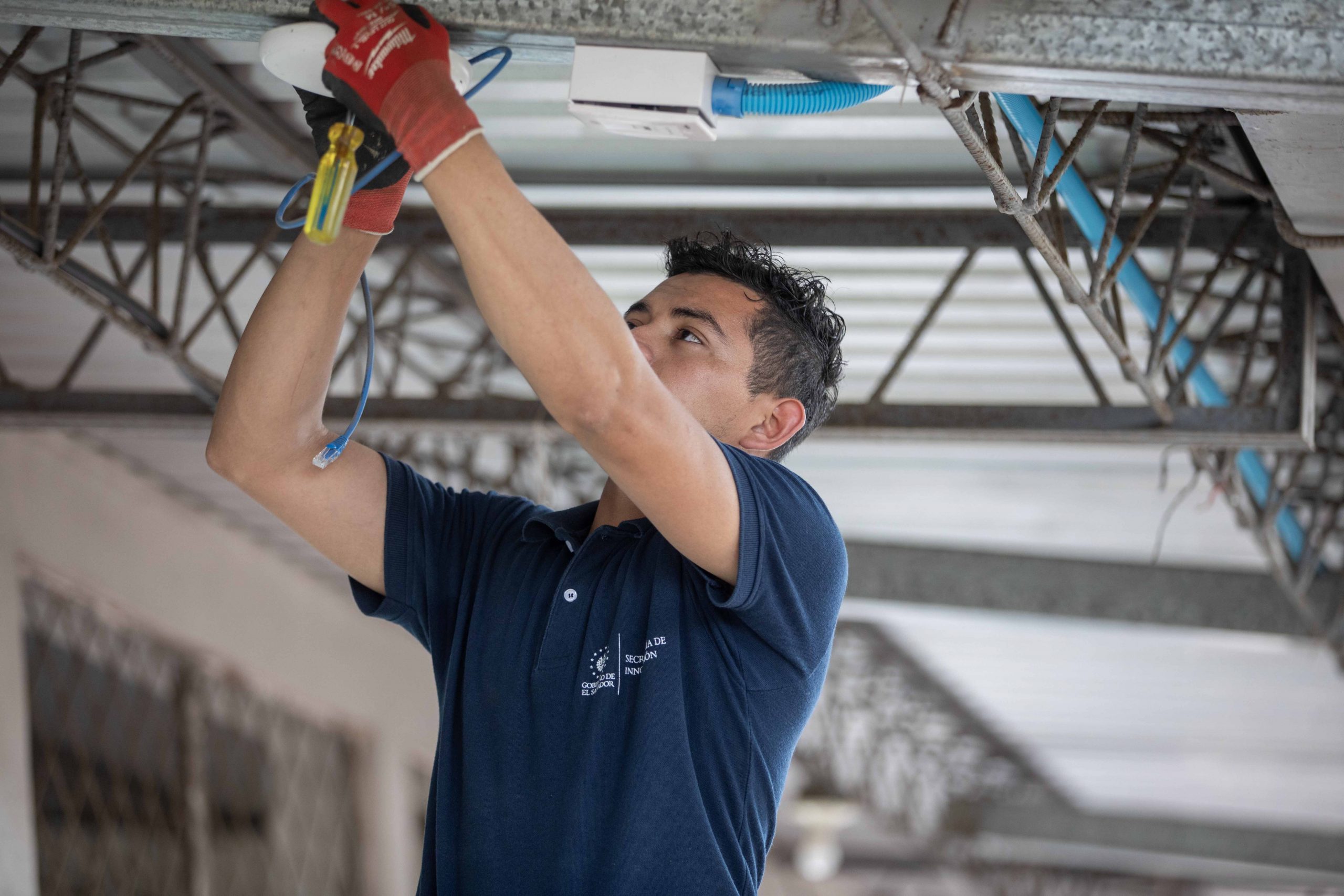 Imagen de la galería