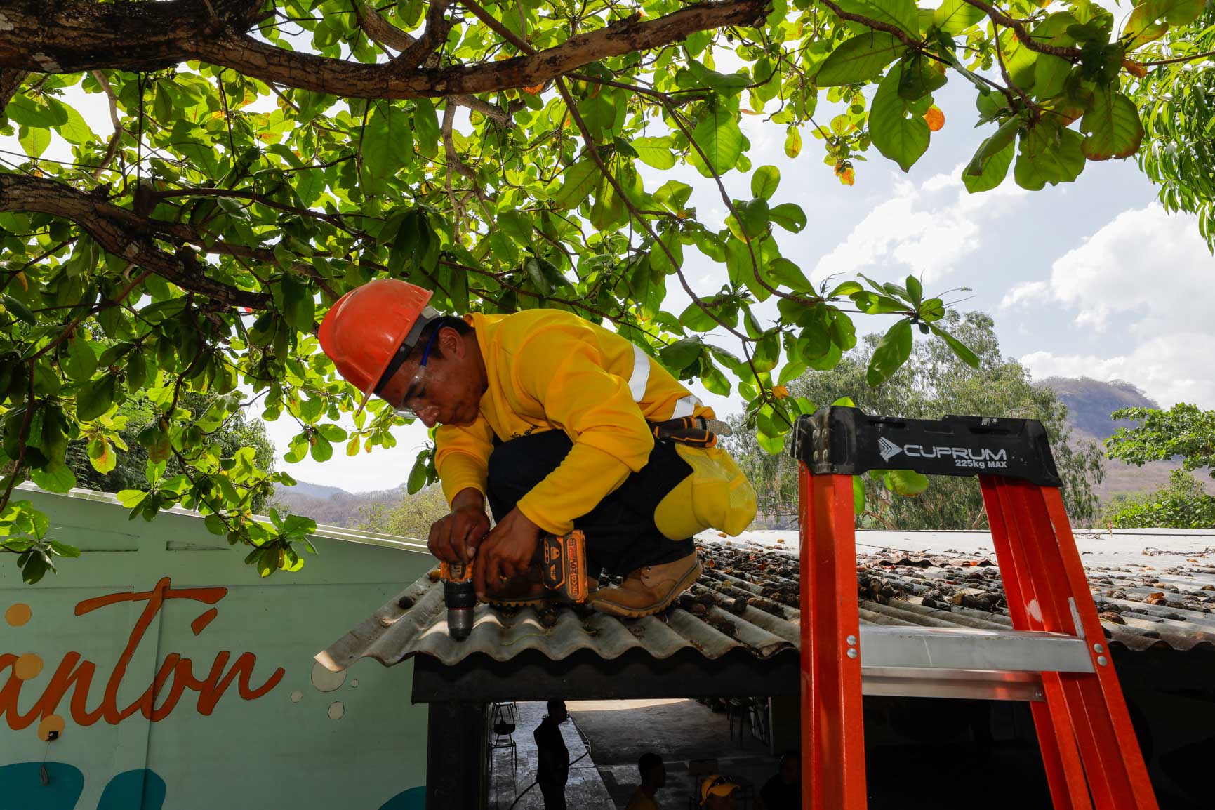 Imagen de la galería