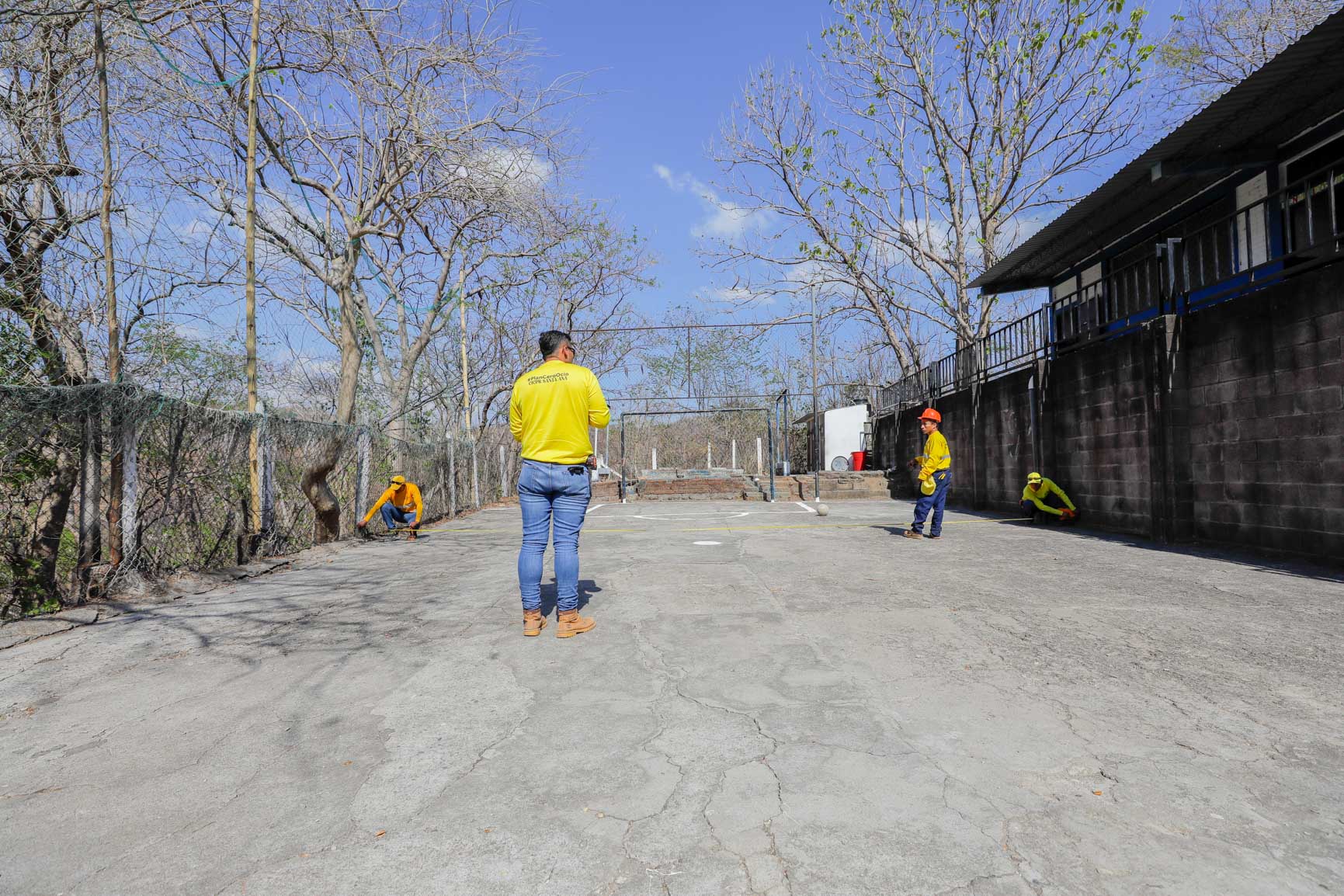 Imagen de la galería