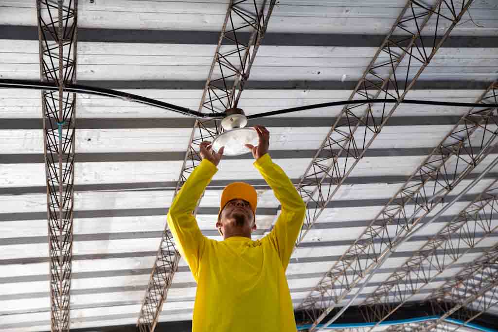 Imagen de la galería