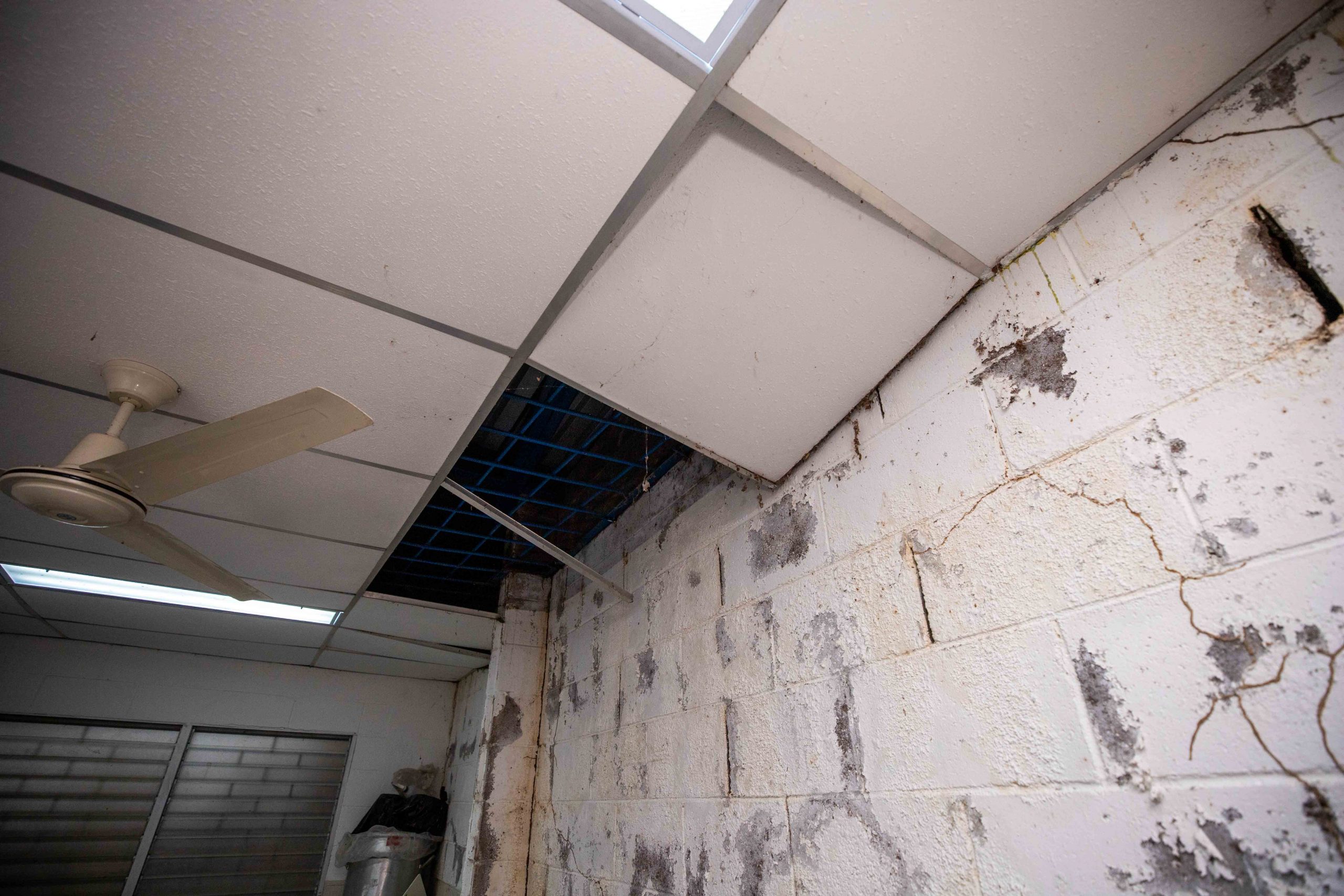 Imagen estado anterior