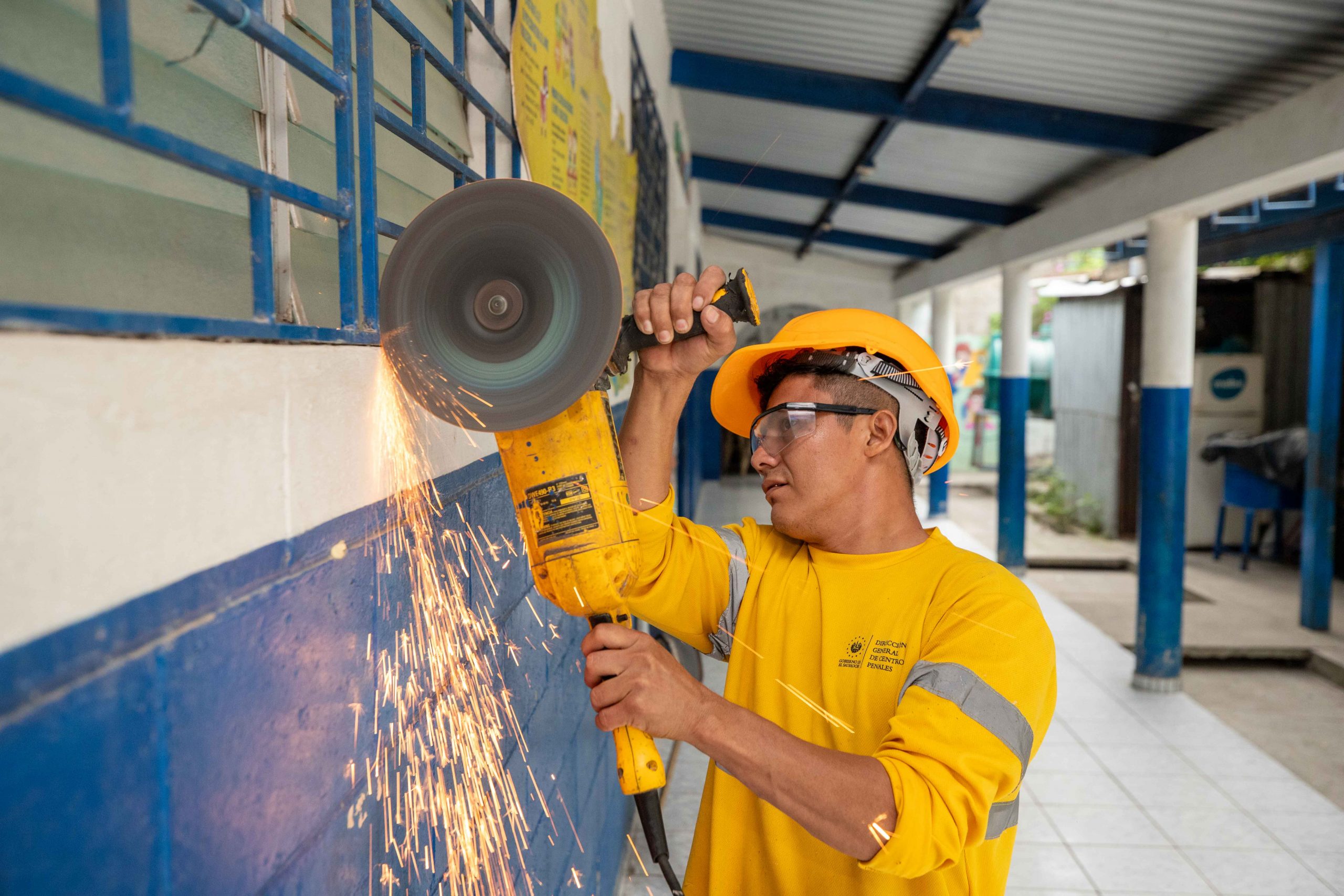 Imagen de la galería