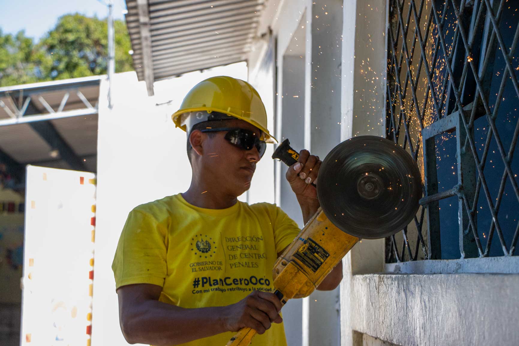 Imagen de la galería