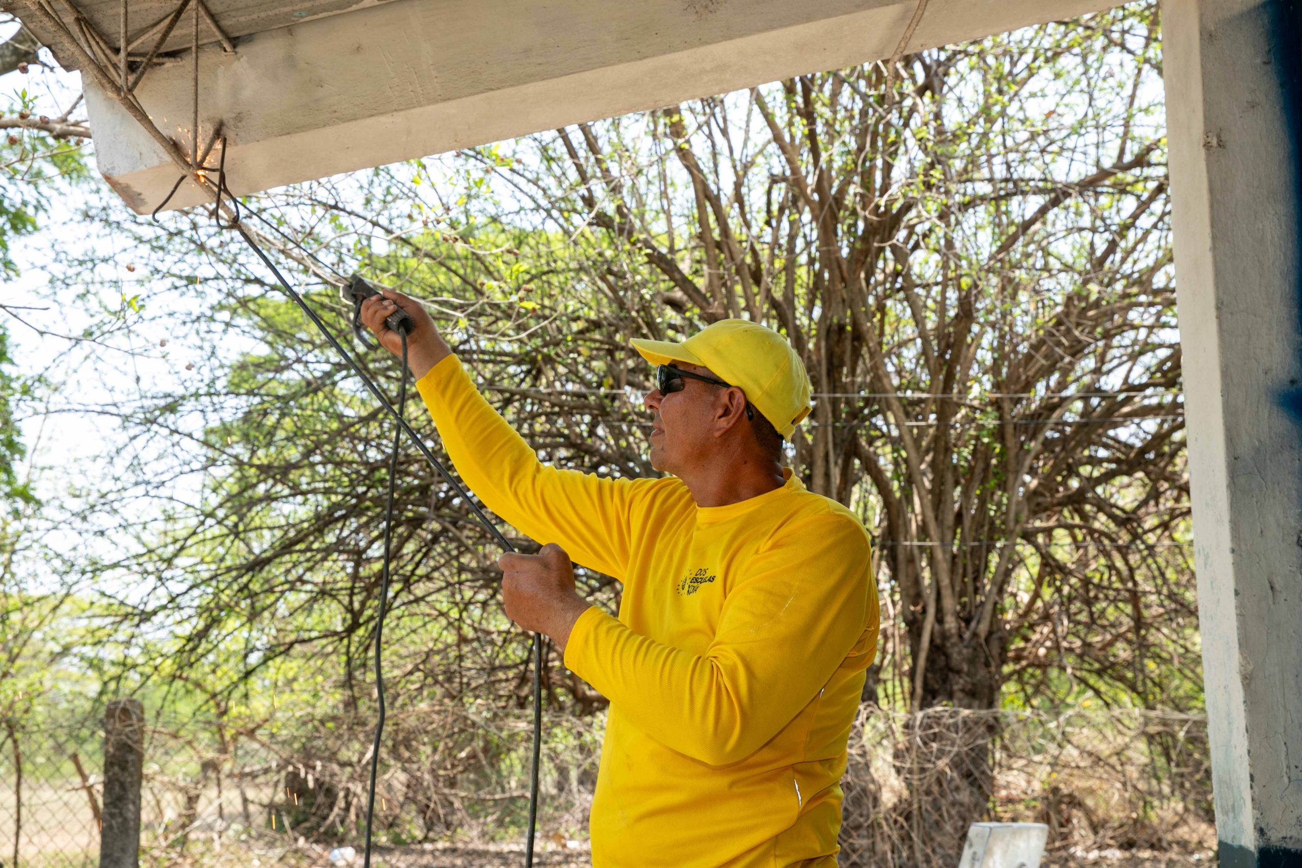 Imagen de la galería