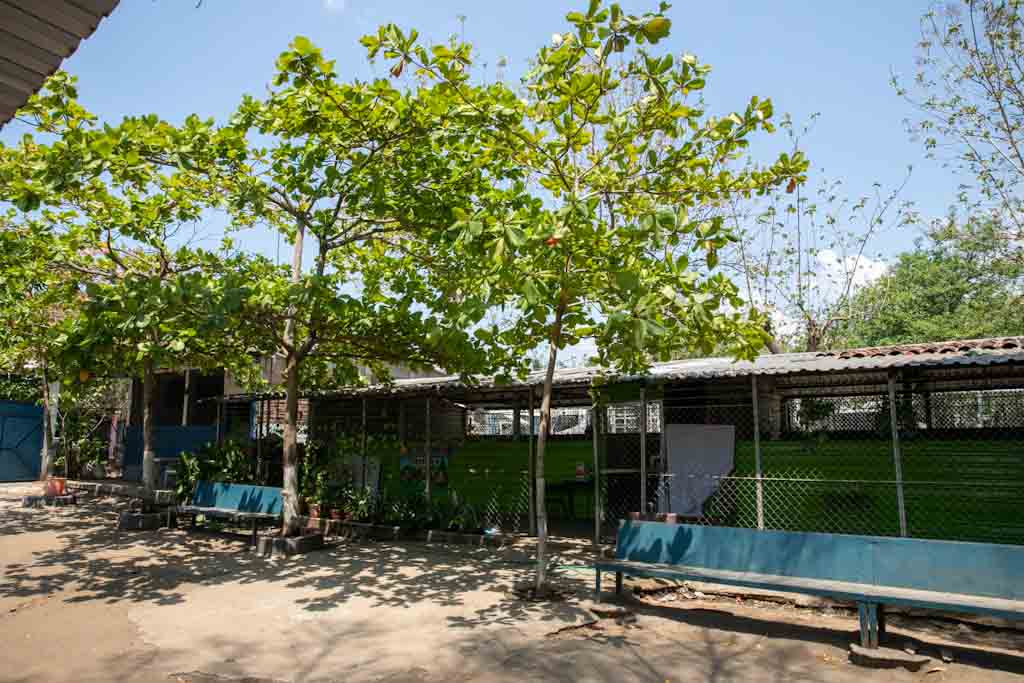 Imagen estado anterior