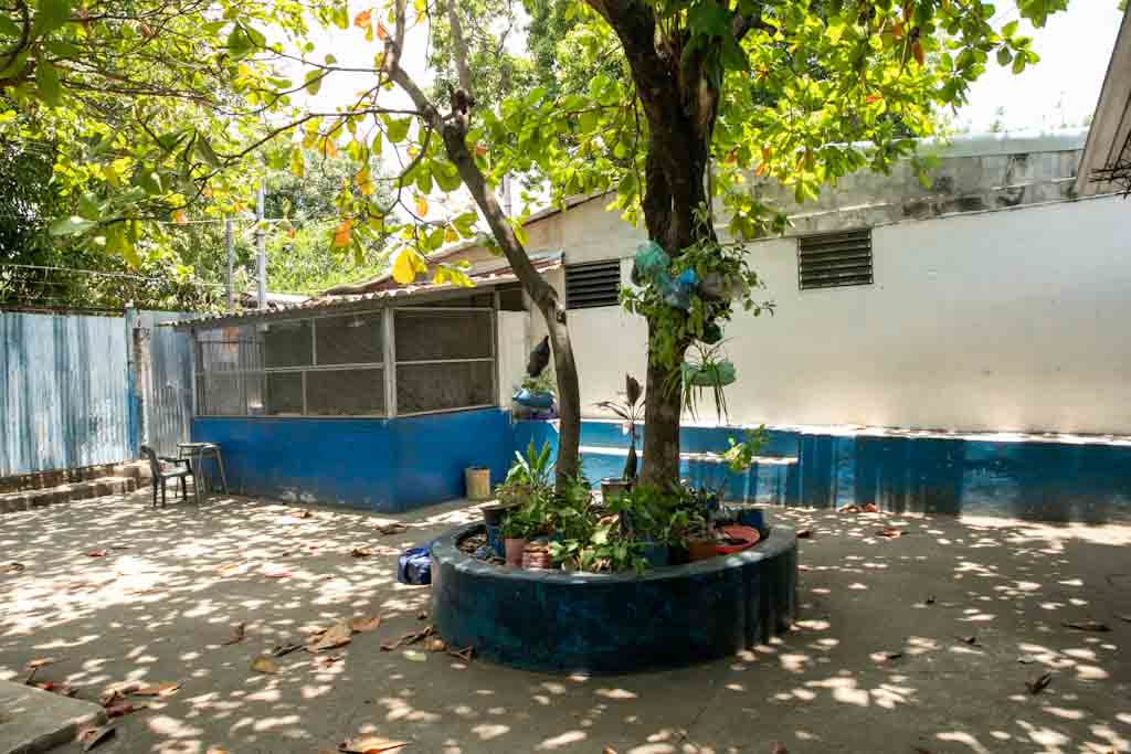 Imagen estado anterior