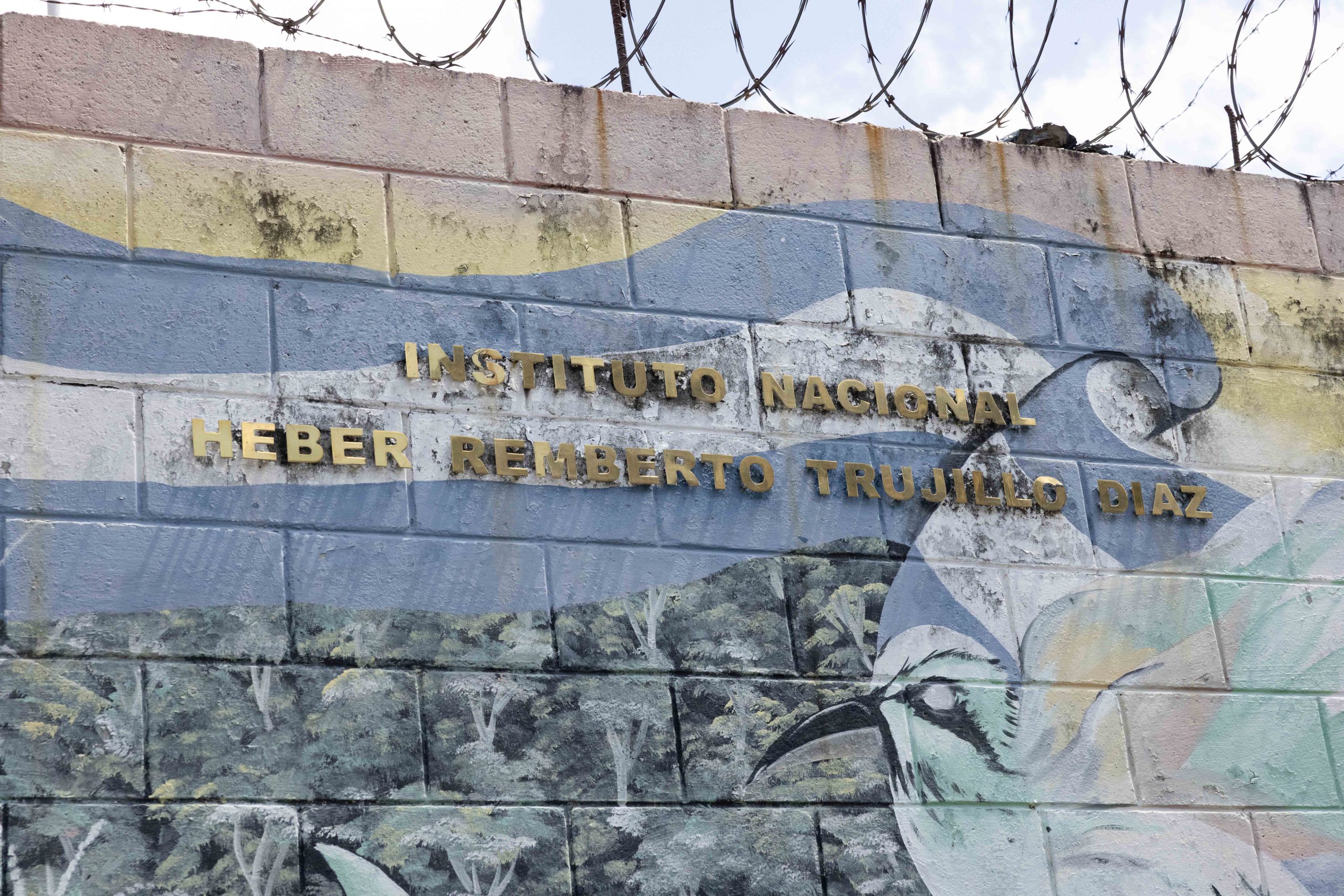 Imagen estado anterior