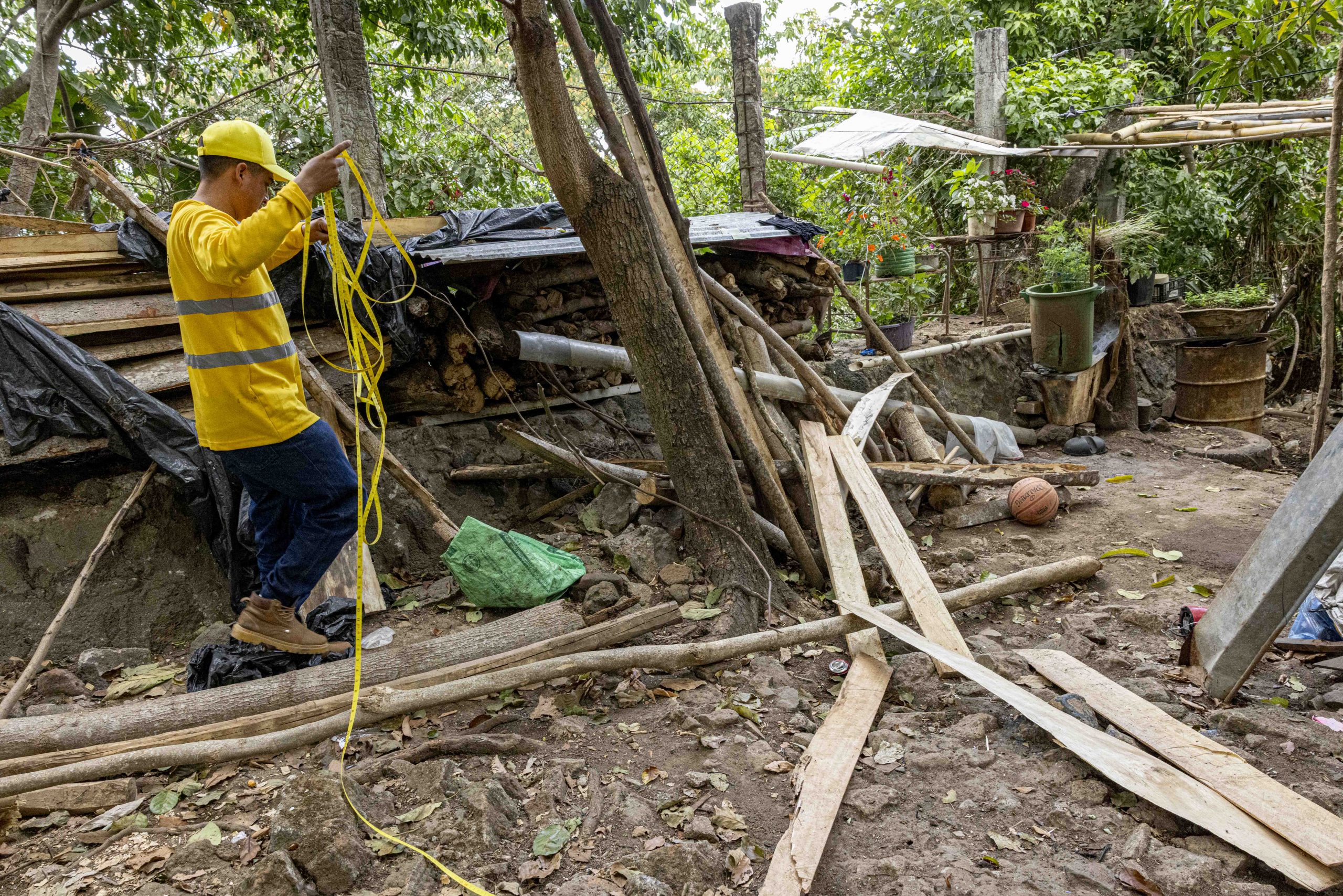 Imagen de la galería