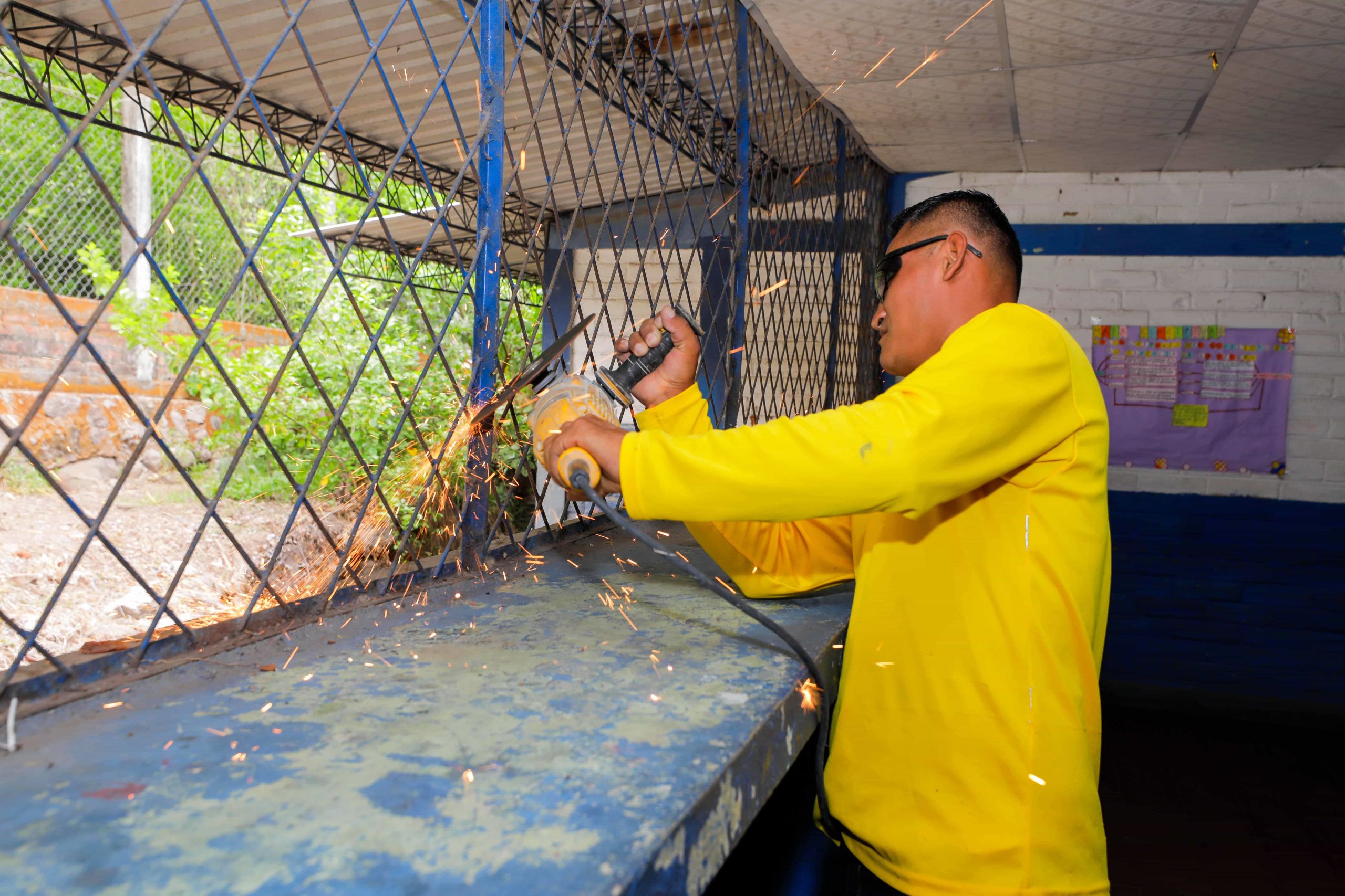 Imagen de la galería