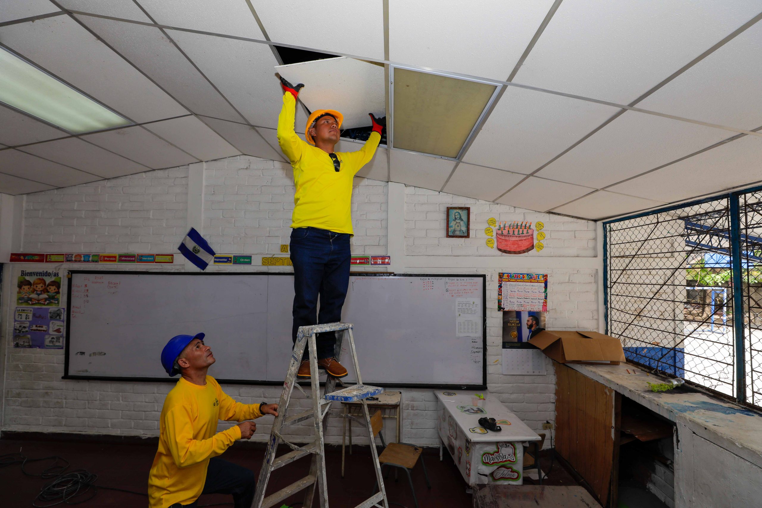 Imagen de la galería