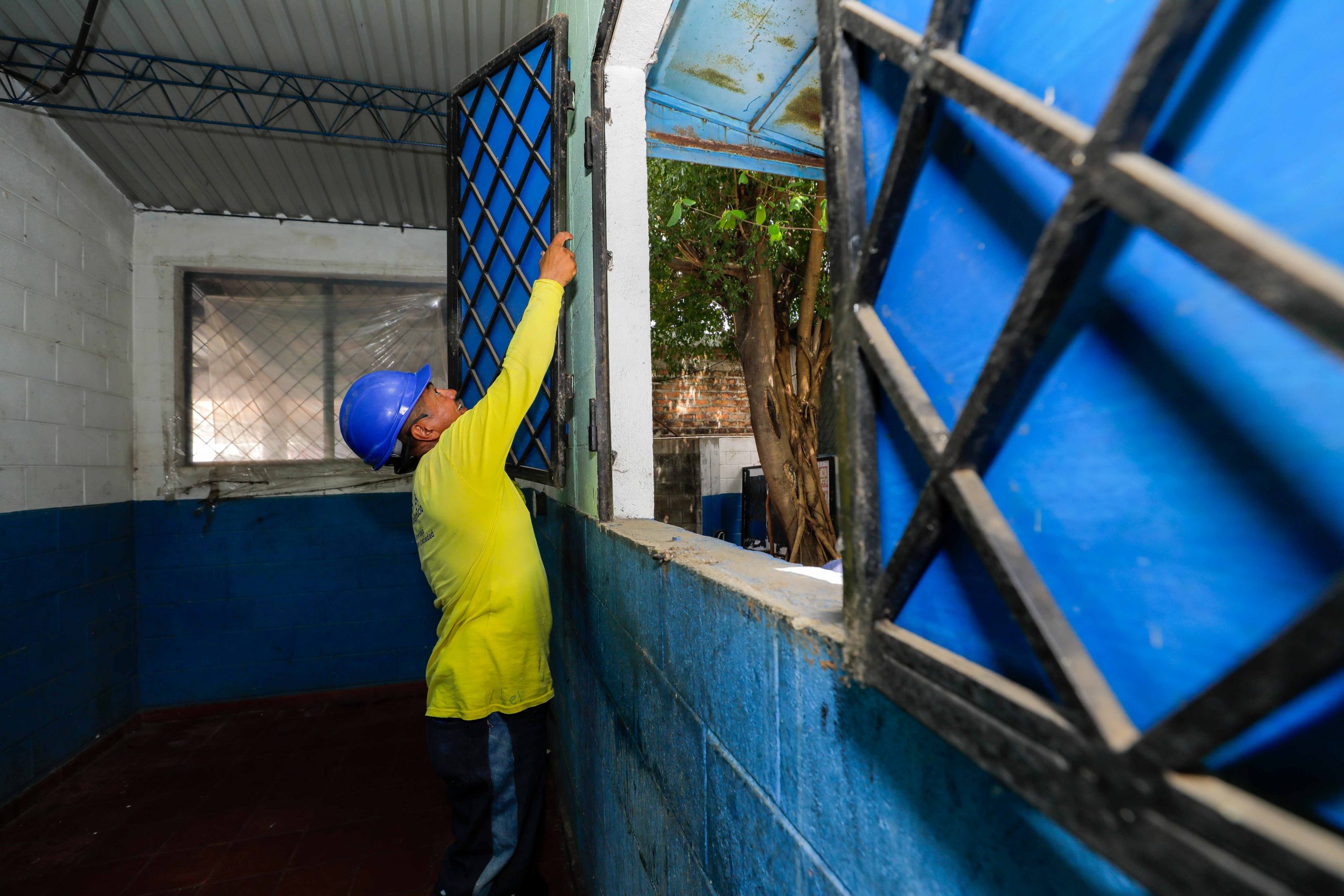 Imagen de la galería