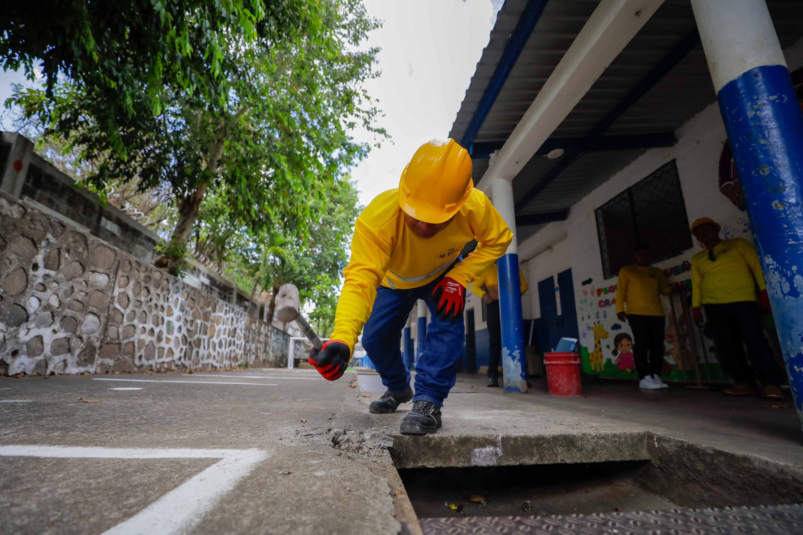 Imagen de la galería