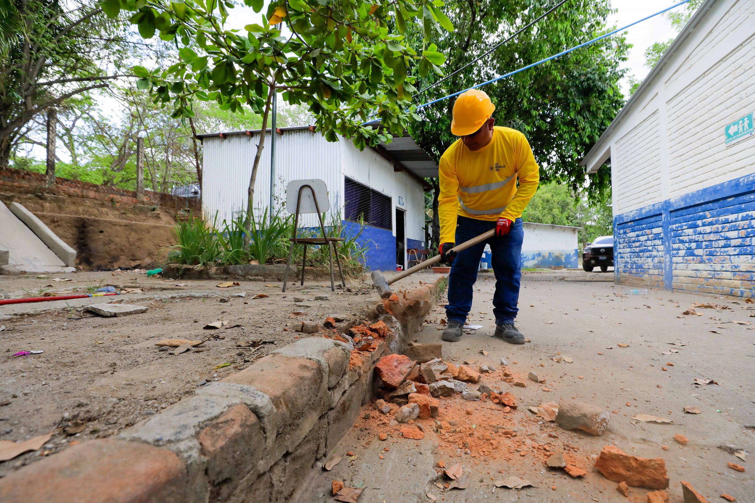Imagen de la galería