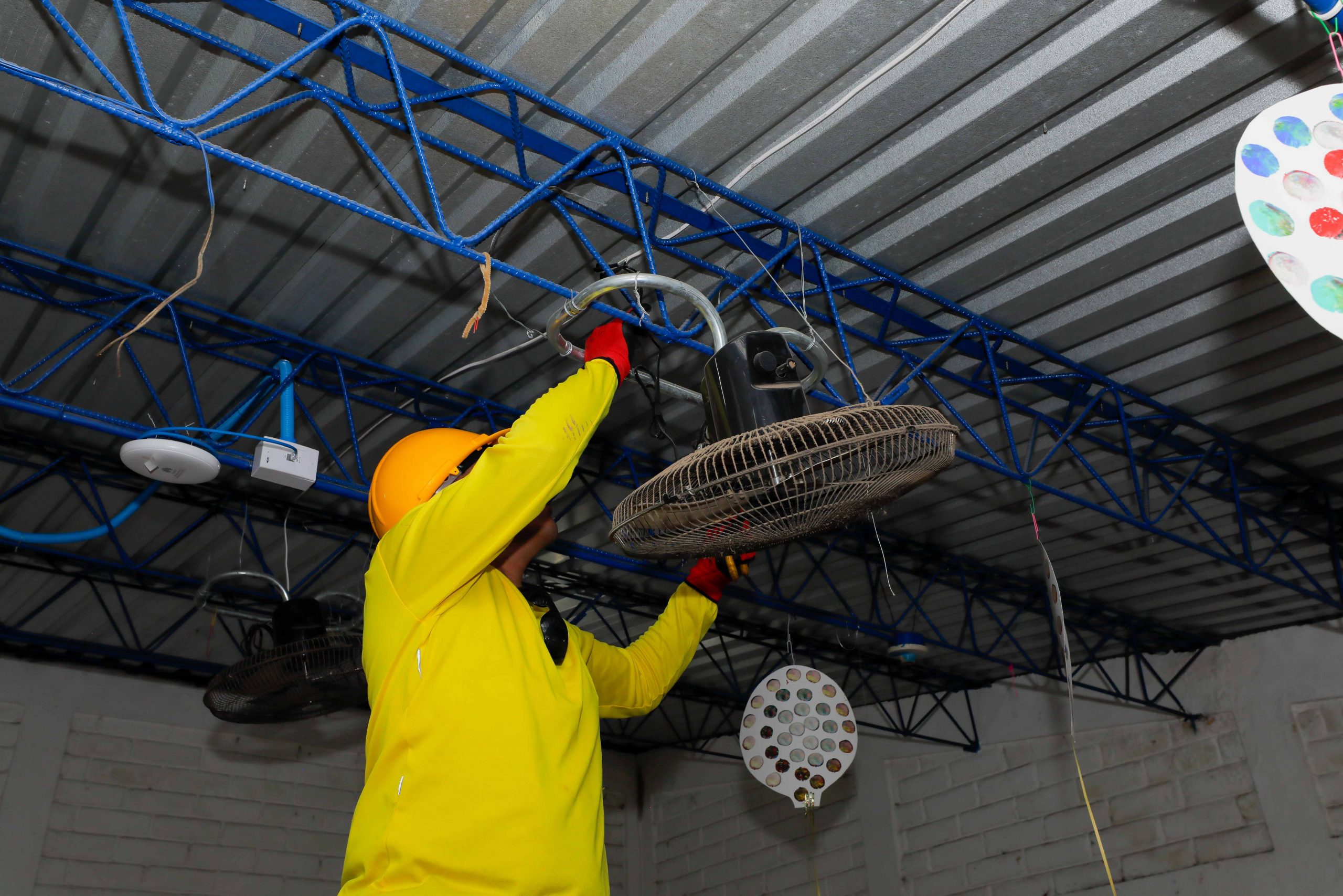 Imagen de la galería