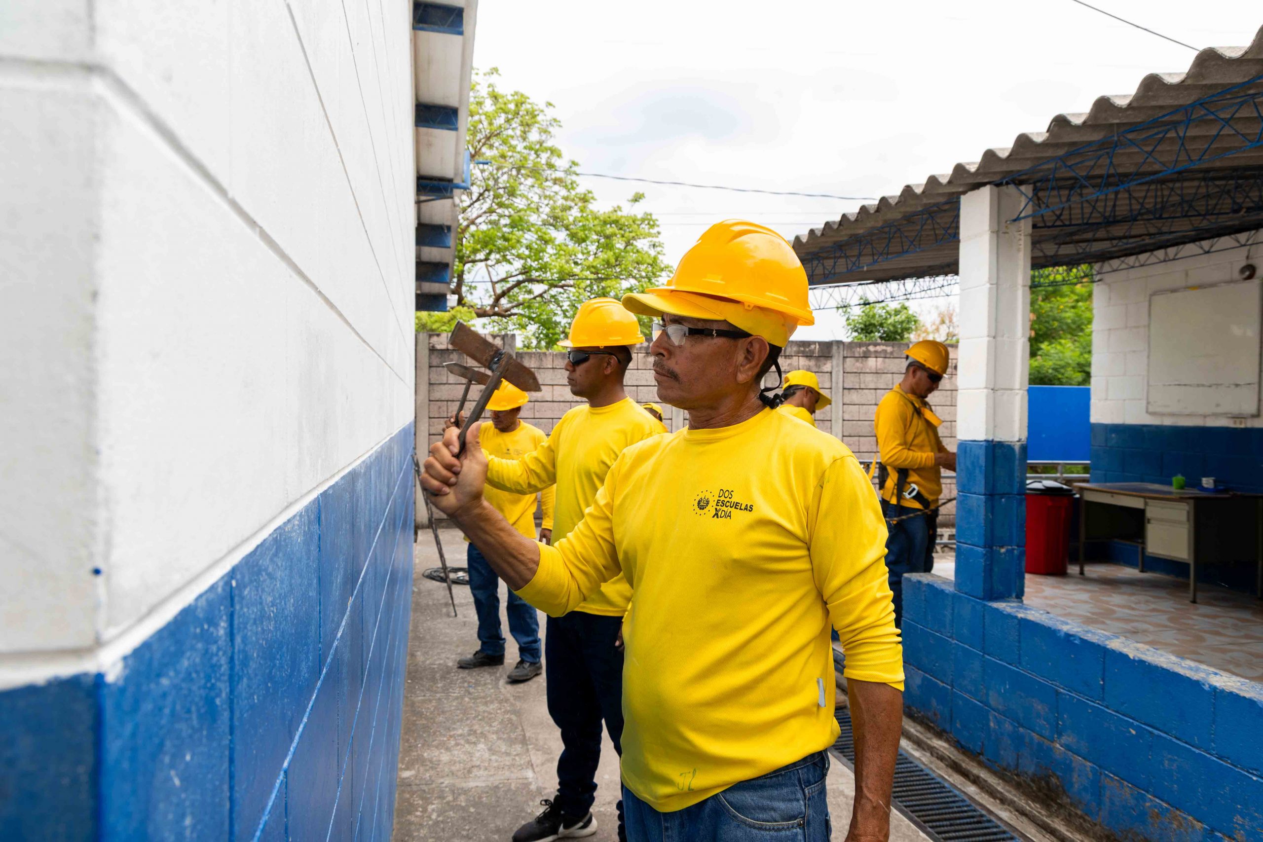 Imagen de la galería