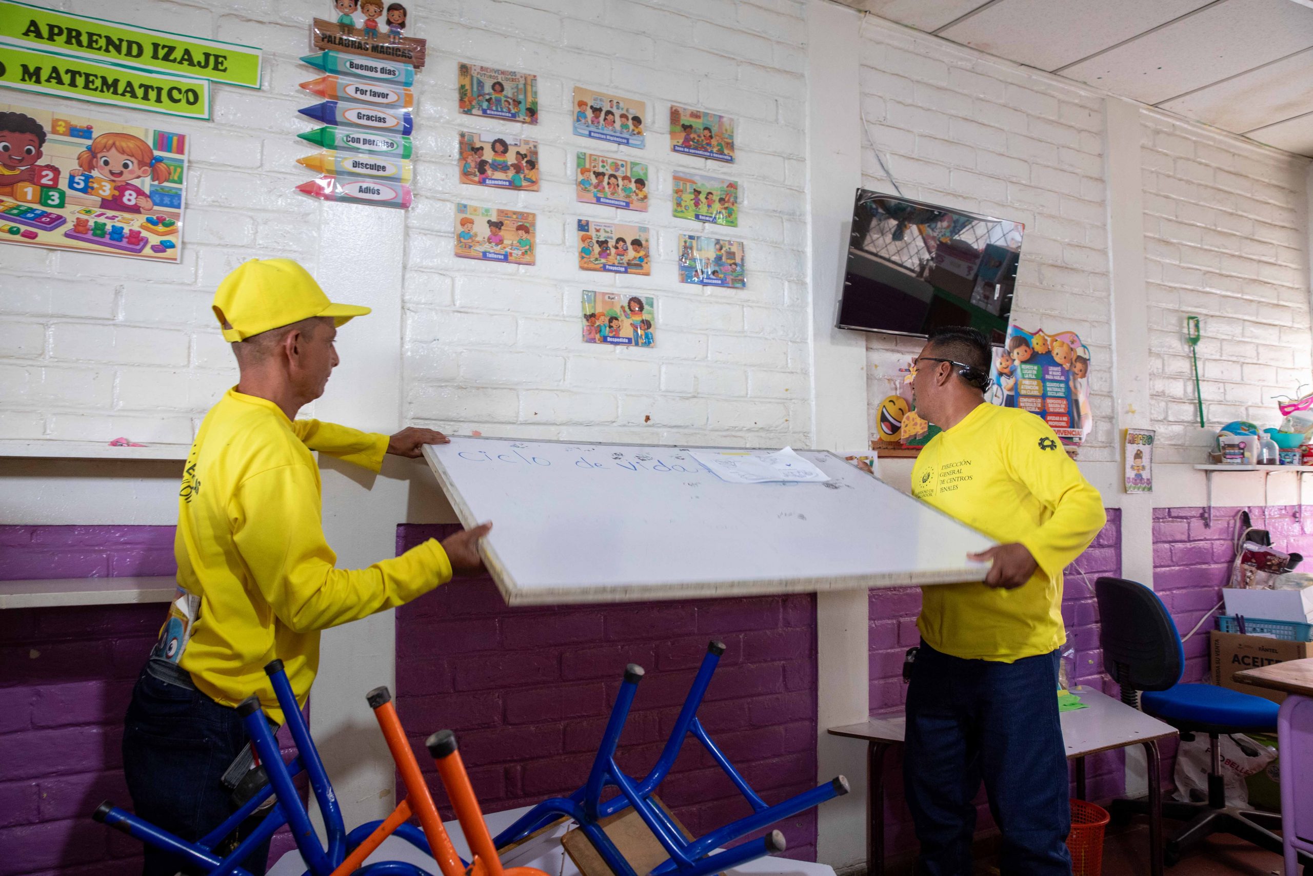 Imagen principal