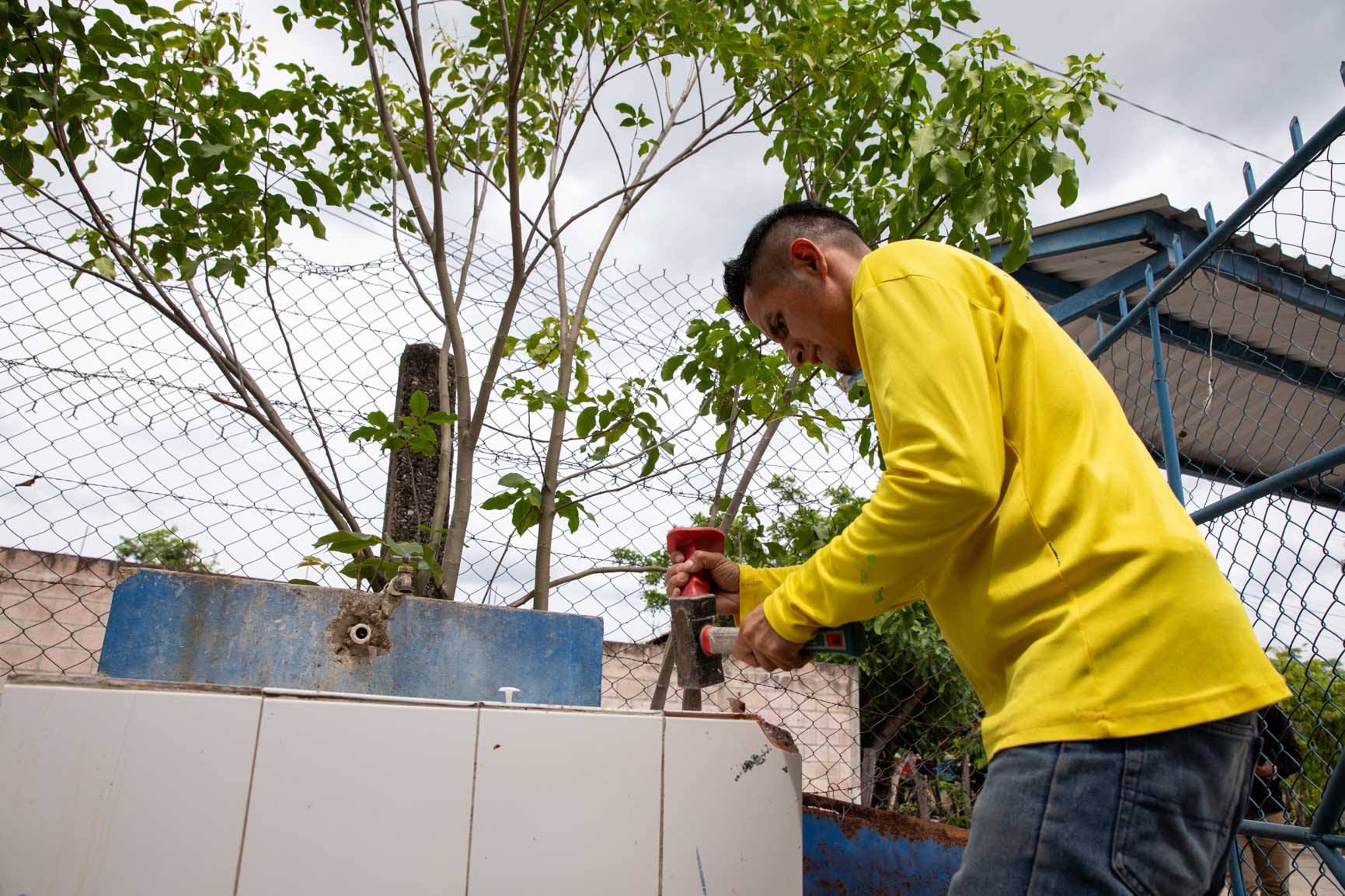 Imagen principal