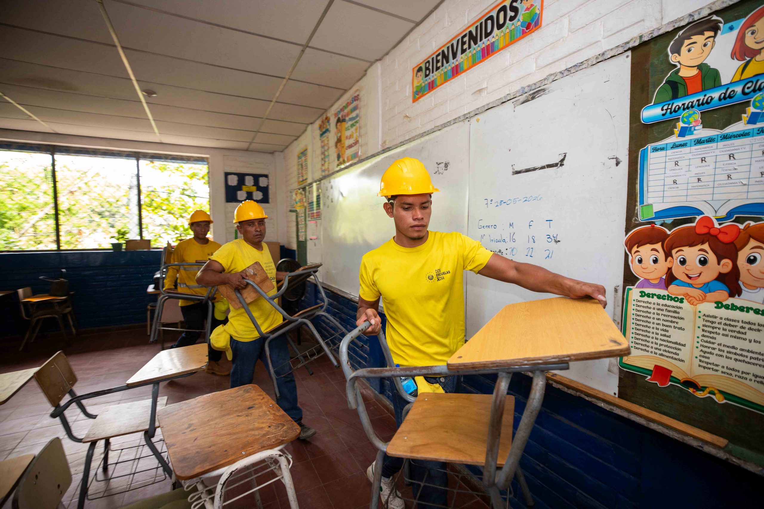 Imagen de la galería