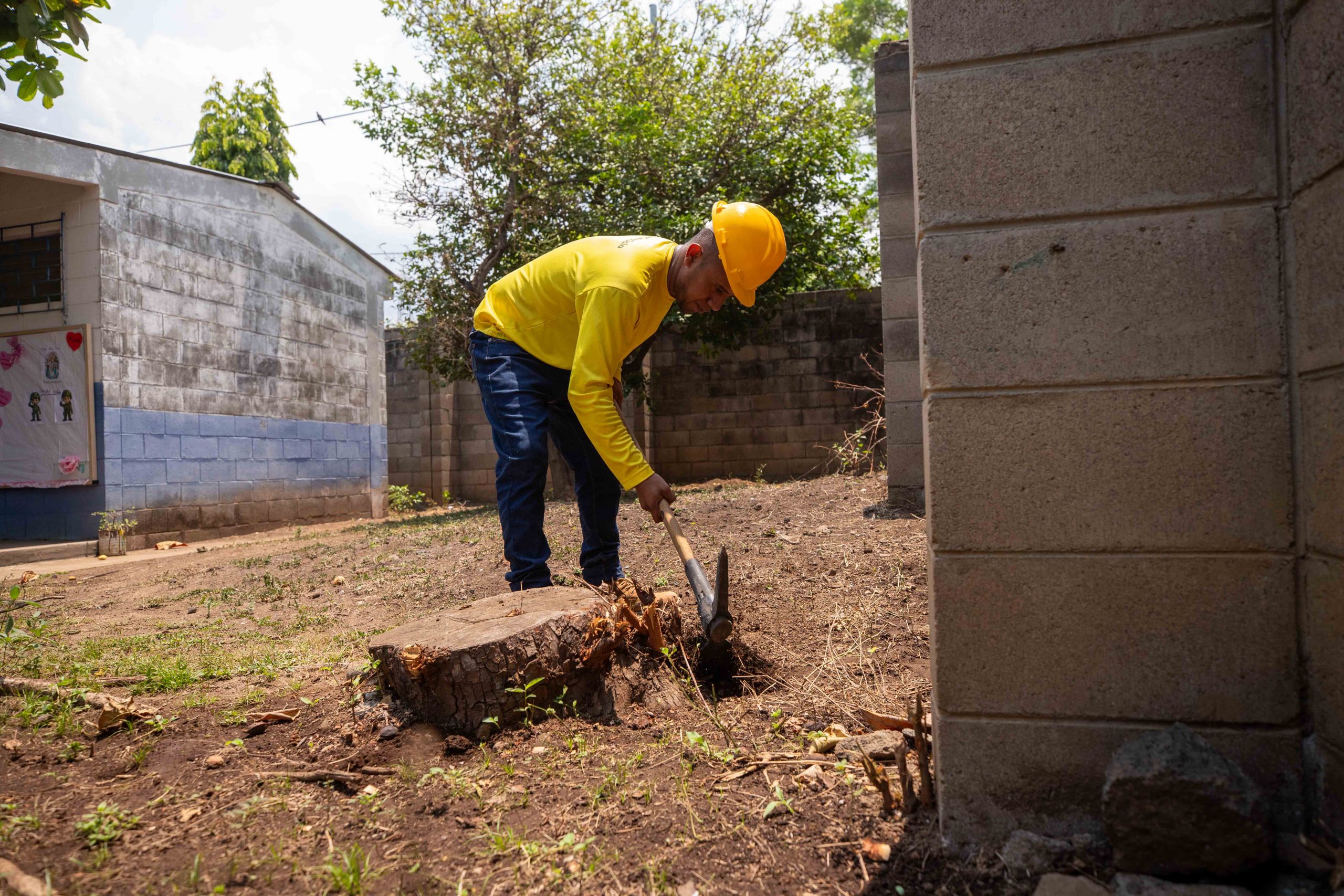 Imagen de la galería