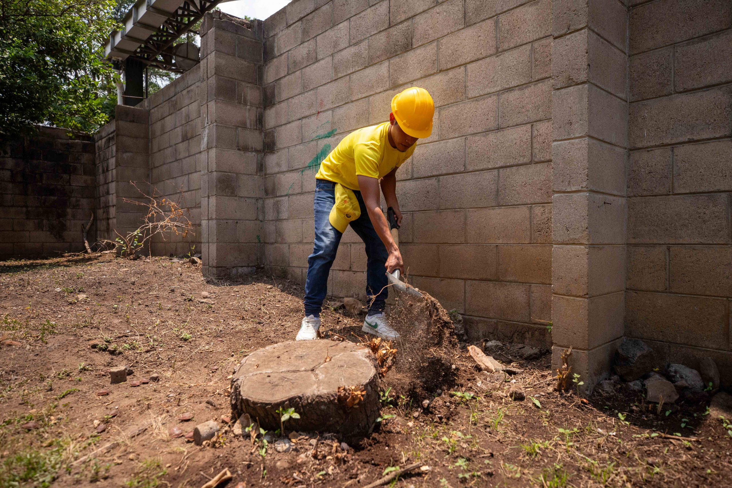 Imagen de la galería