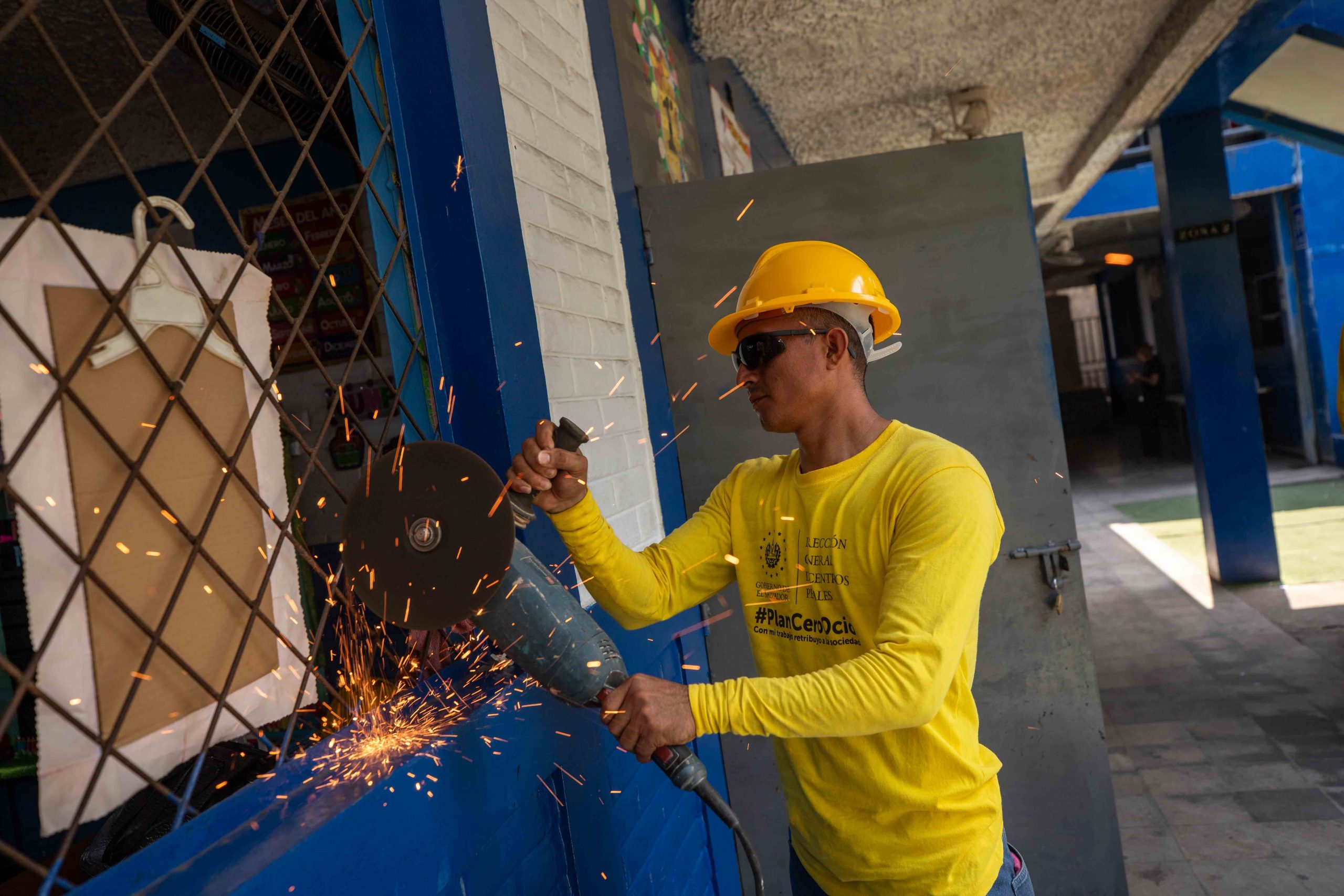 Imagen de la galería