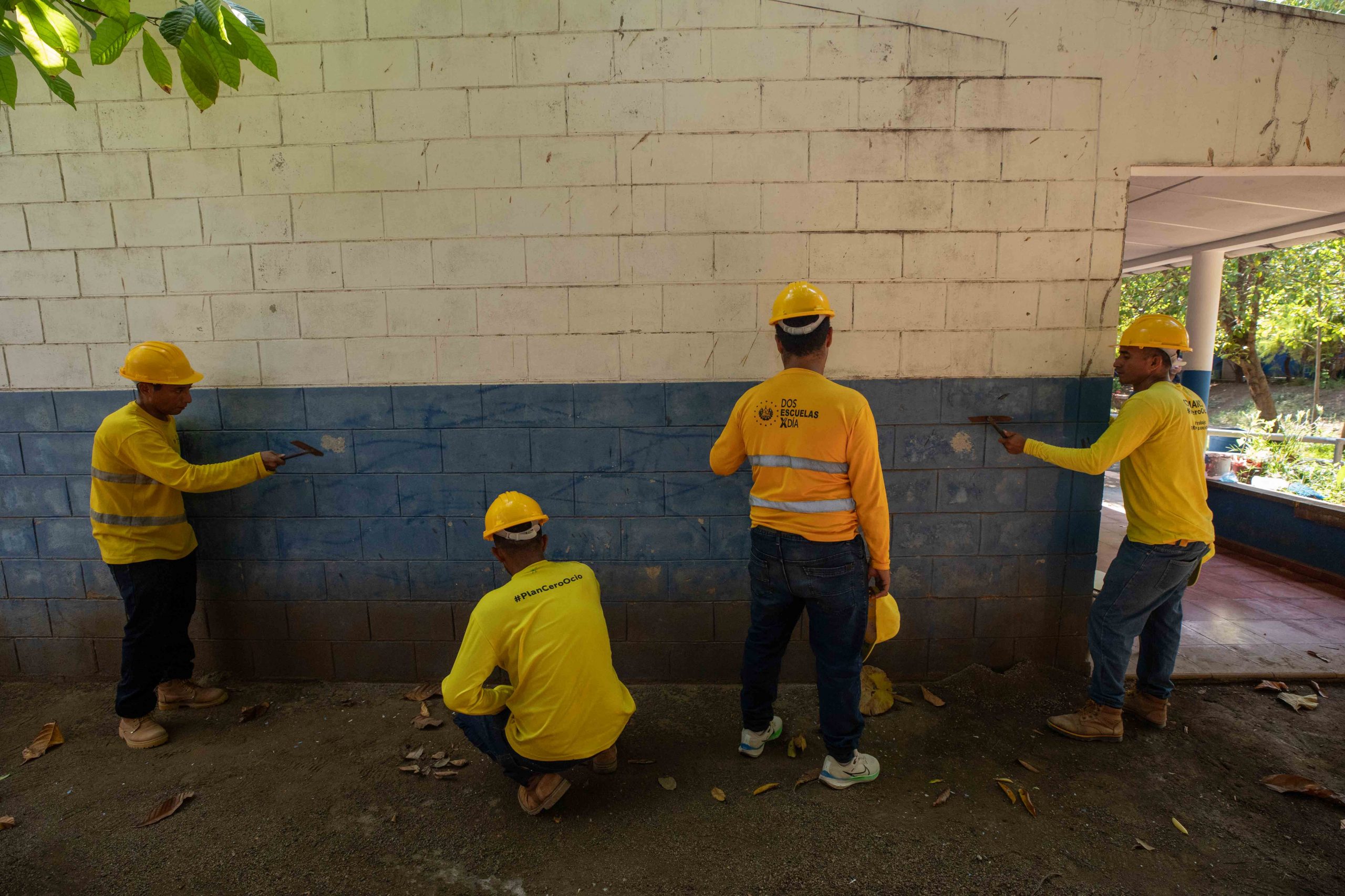 Imagen de la galería