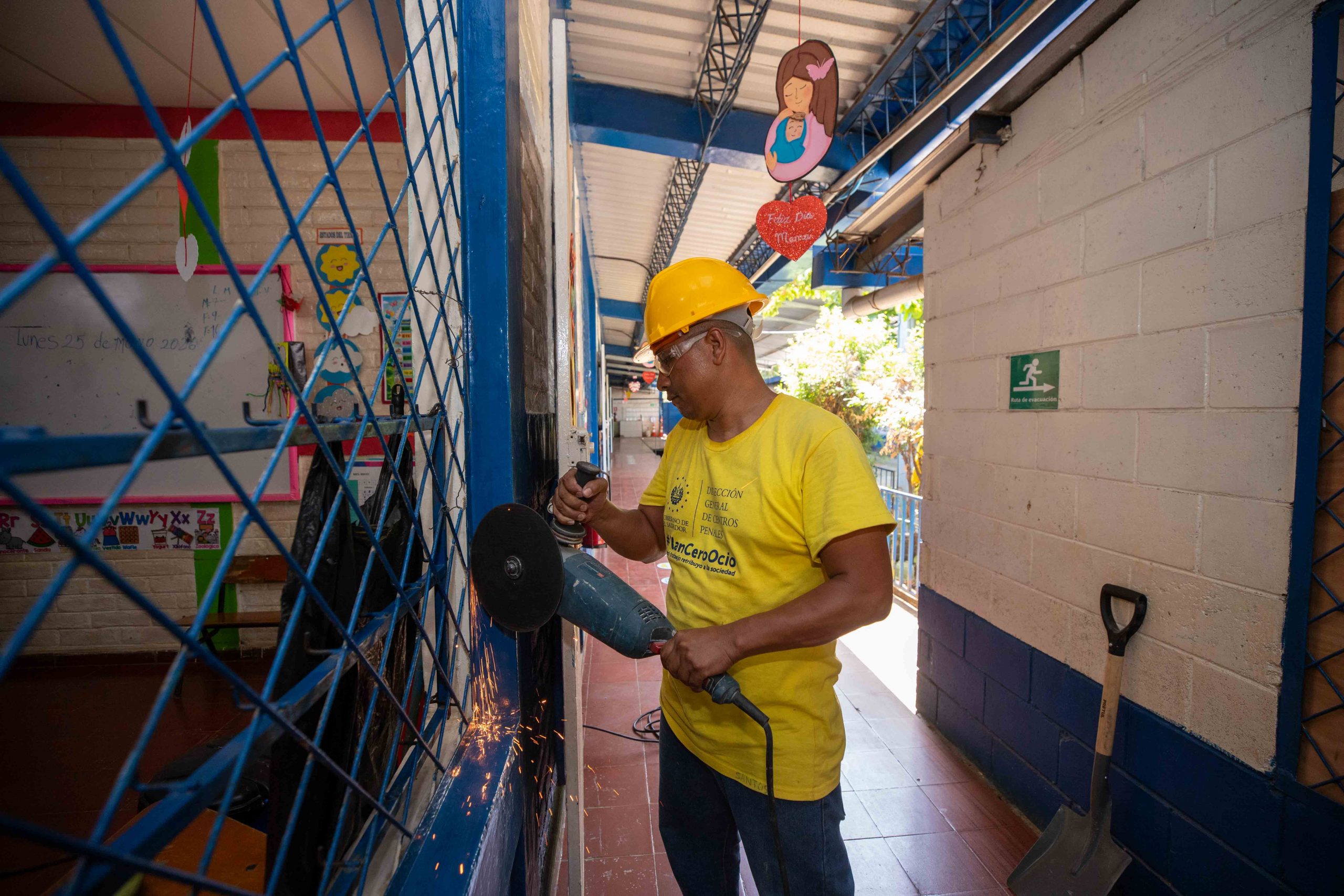 Imagen principal