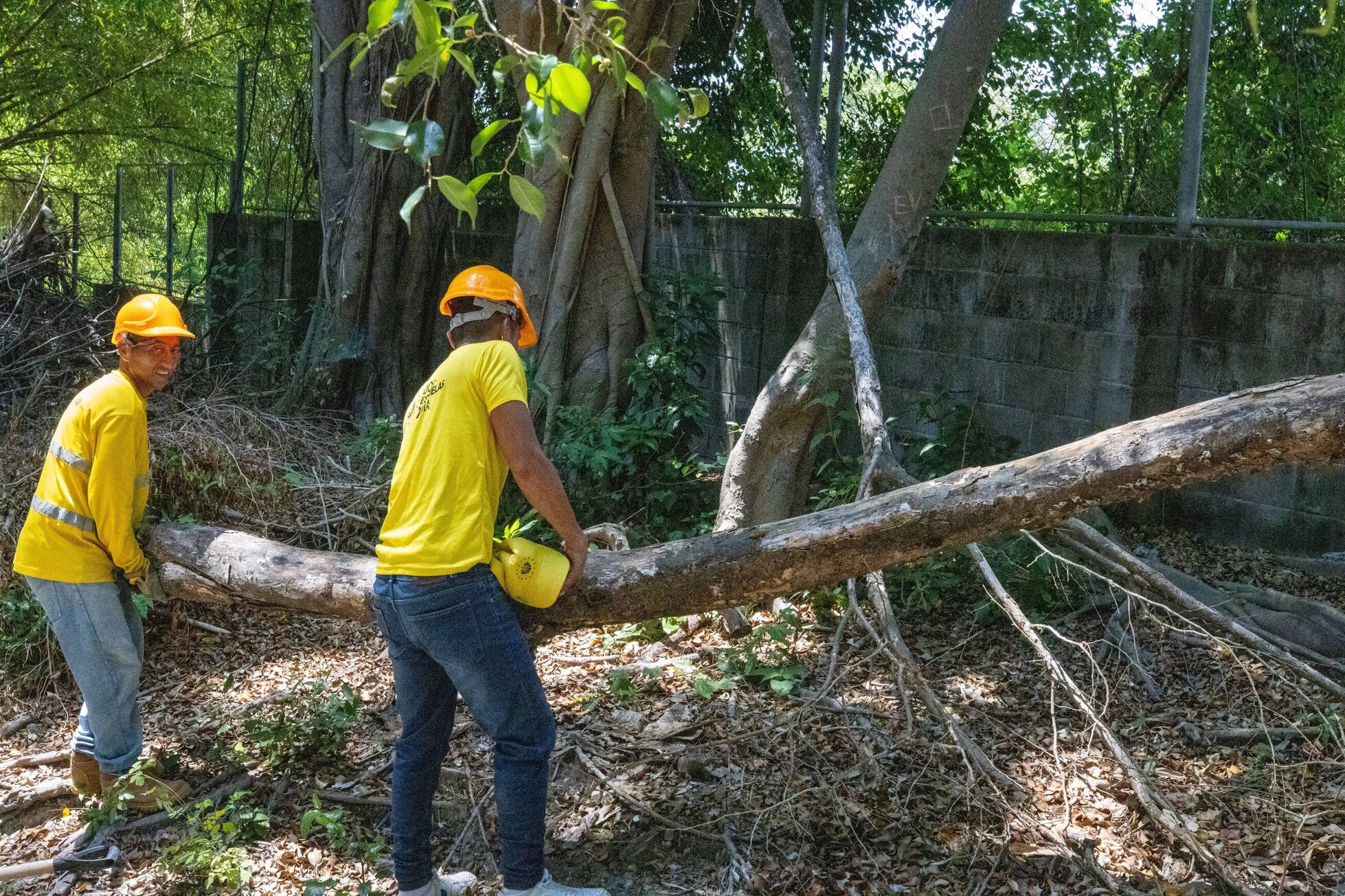Imagen de la galería