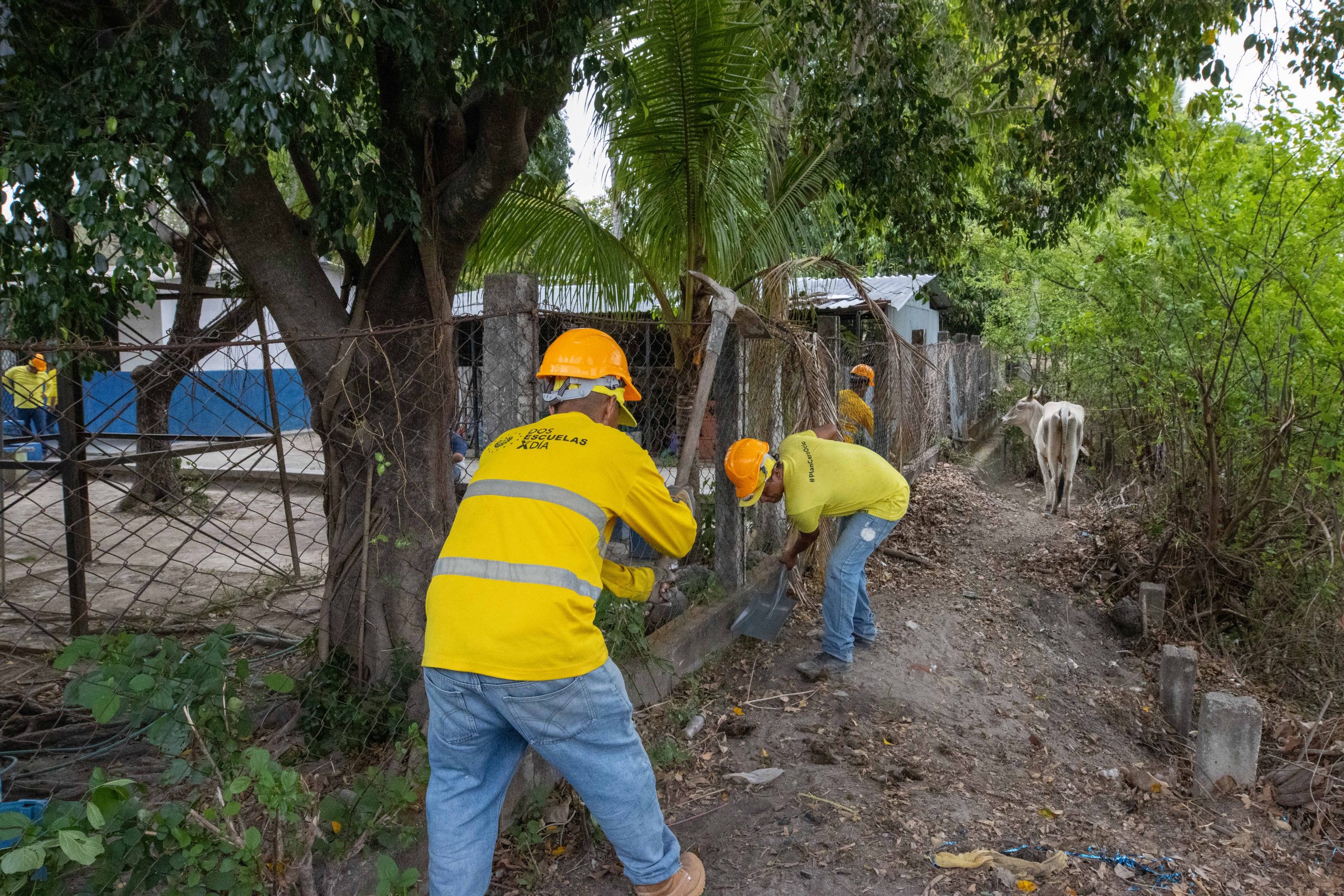 Imagen de la galería