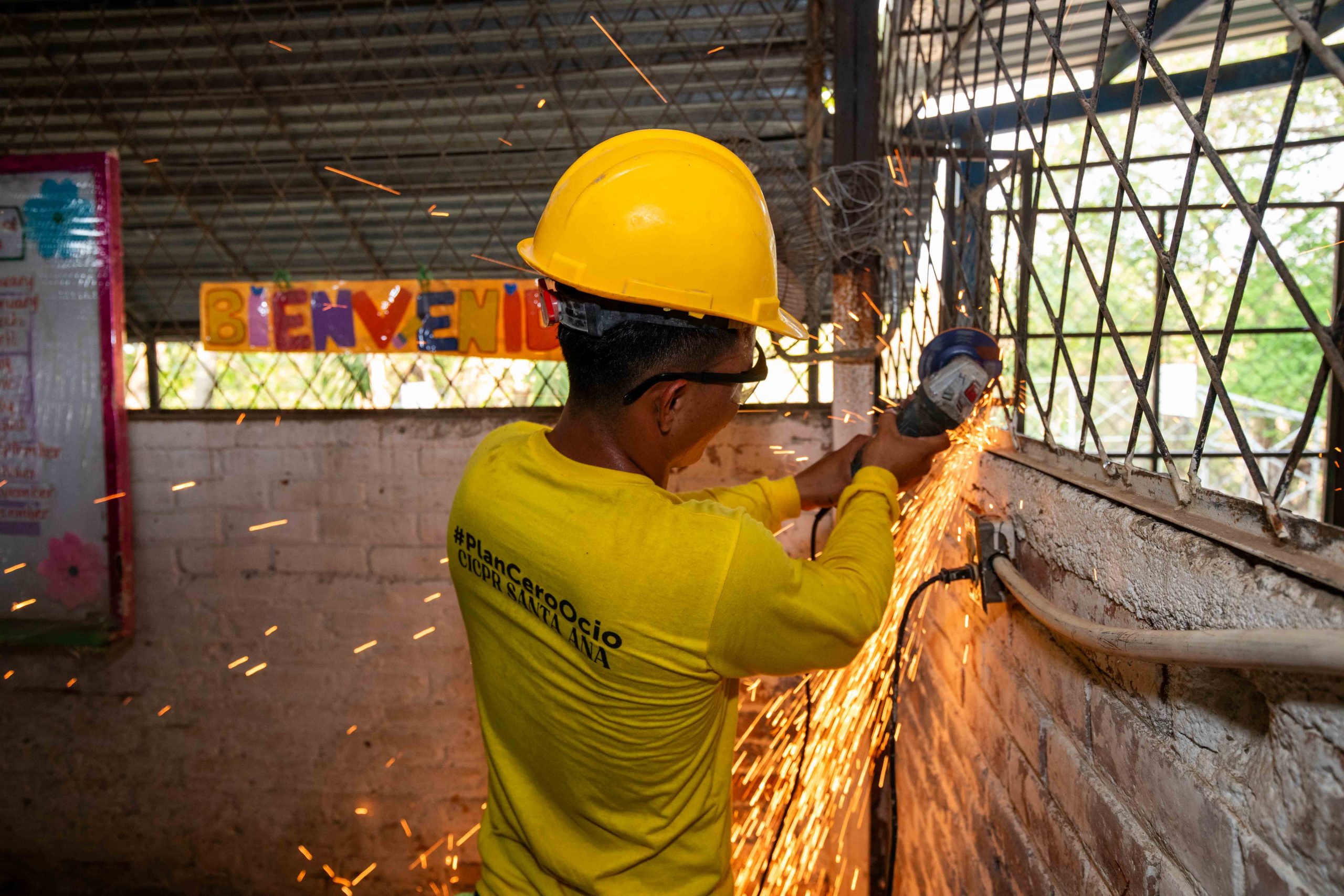 Imagen de la galería