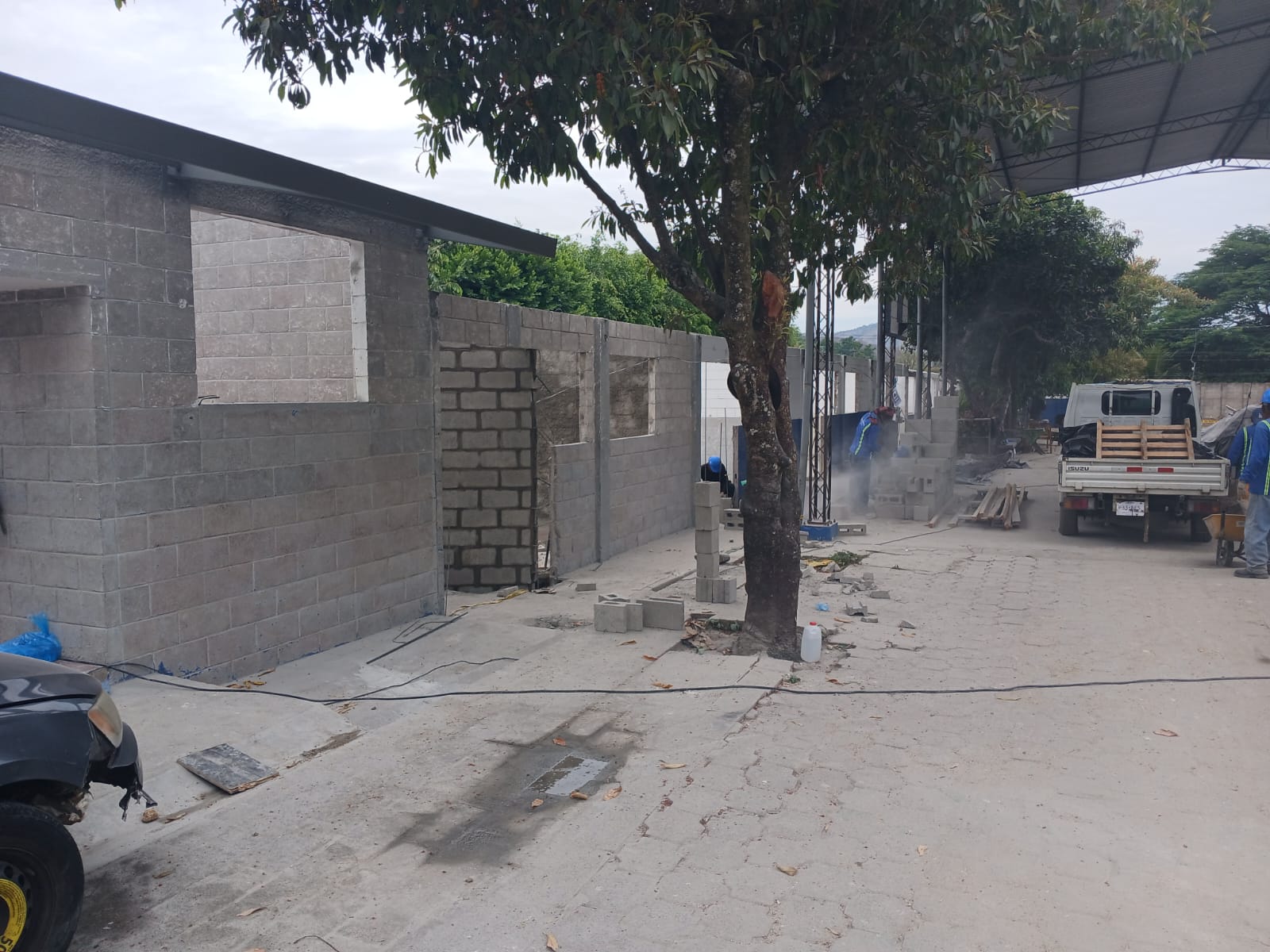 Imagen de la galería