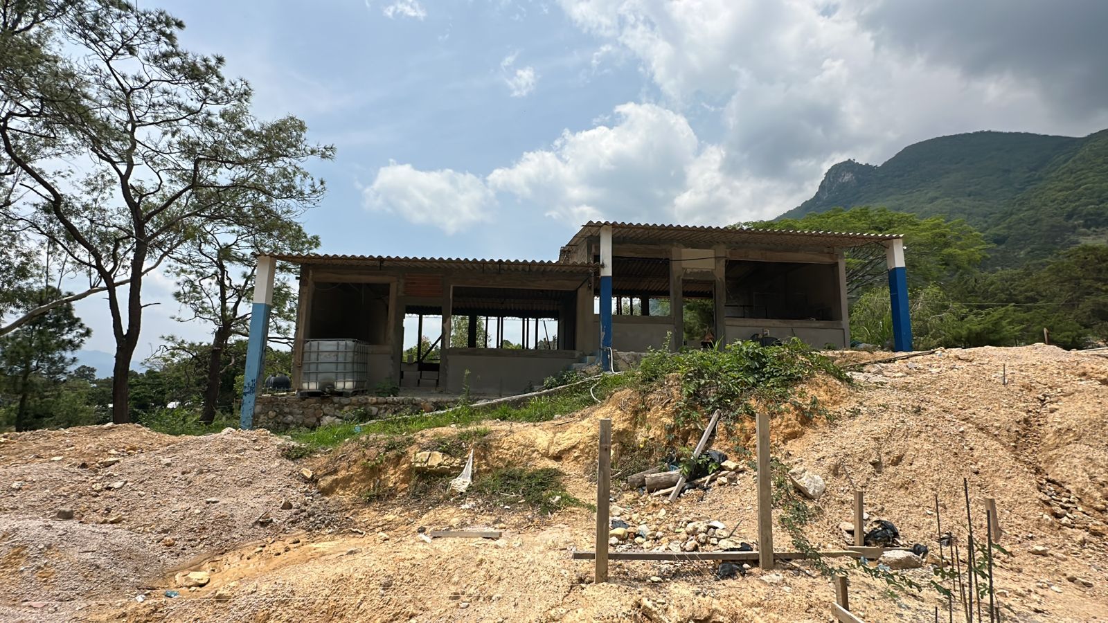 Imagen de la galería