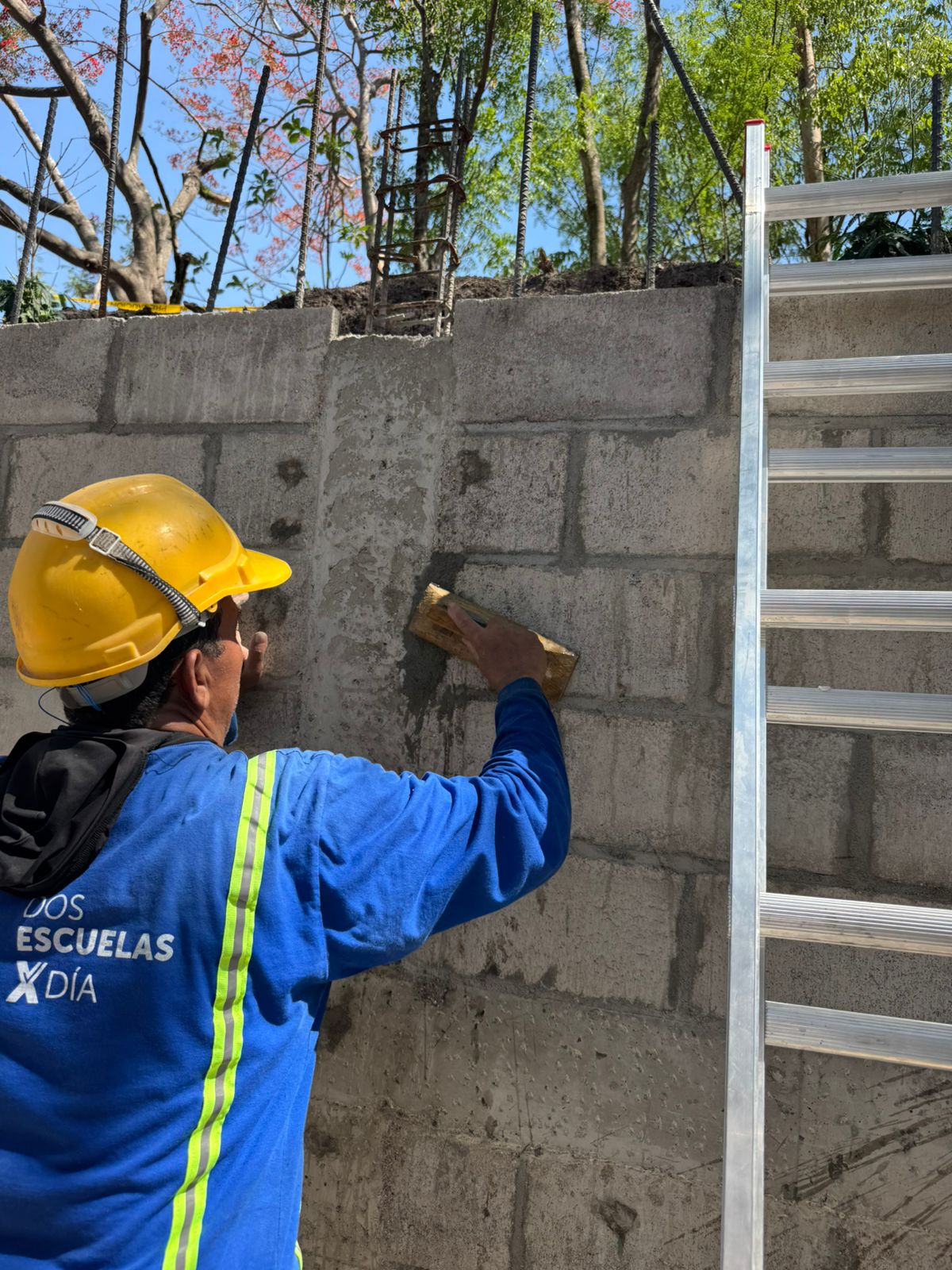 Imagen de la galería