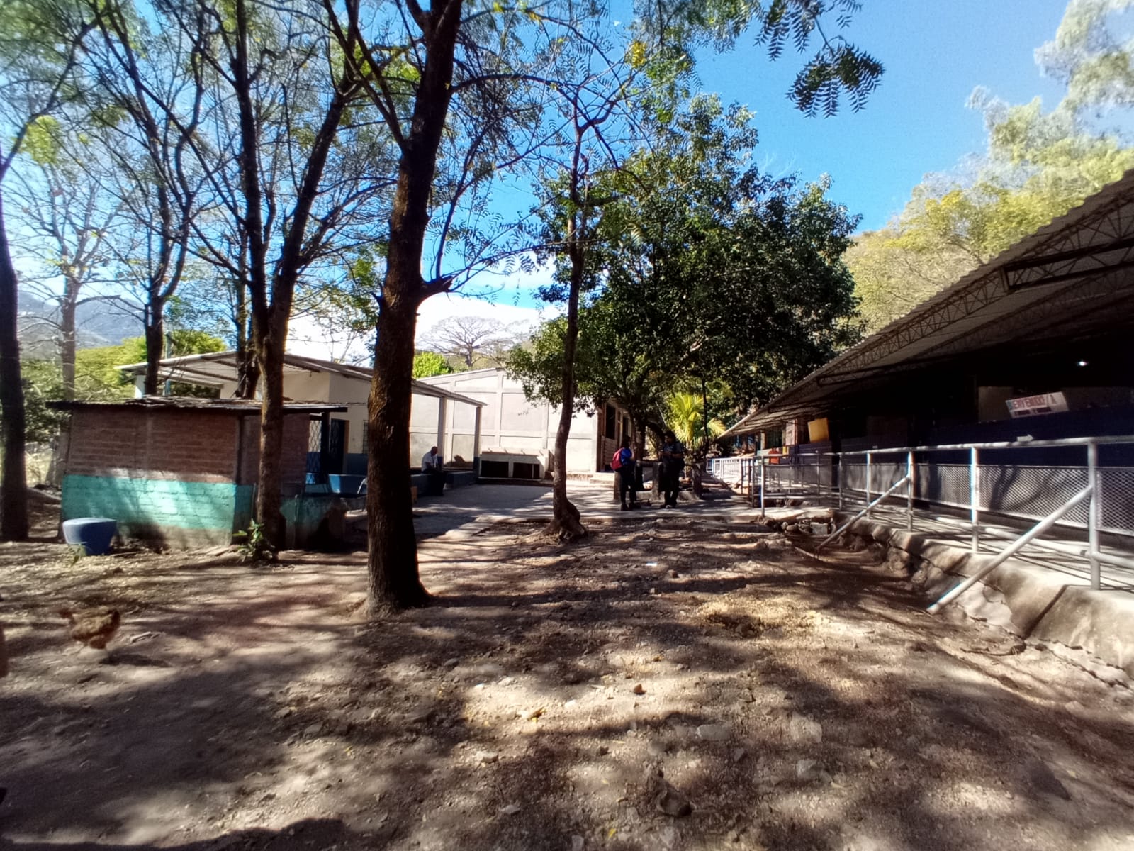 Imagen estado anterior