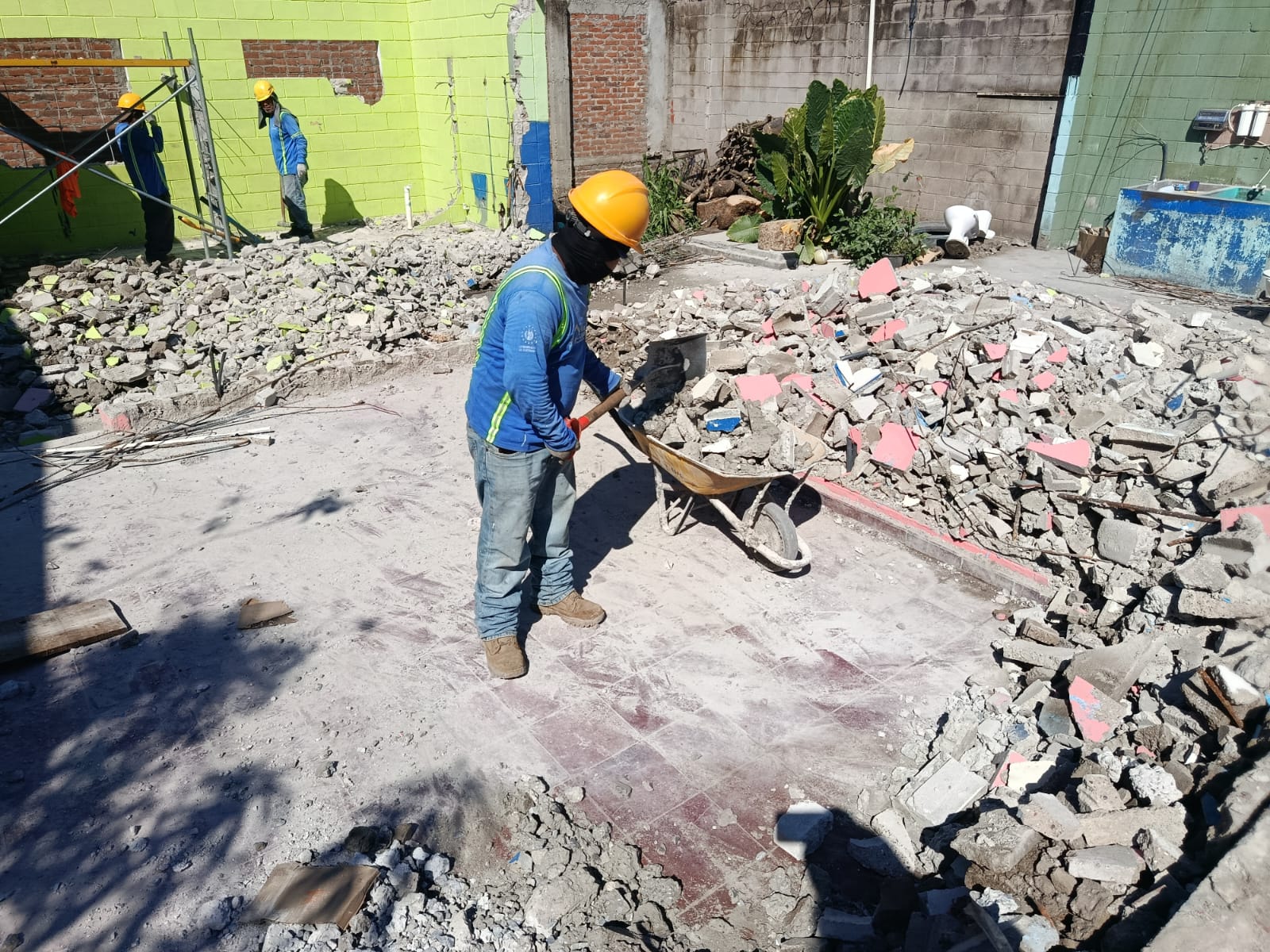 Imagen de la galería