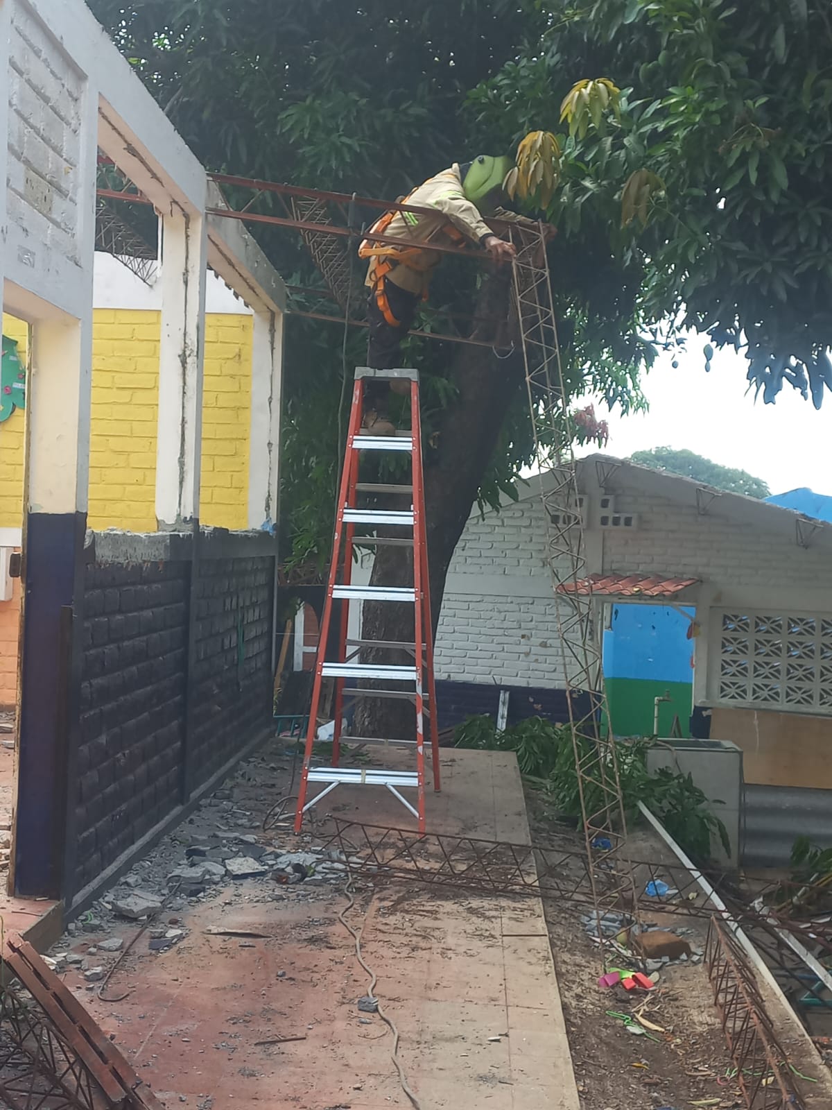 Imagen de la galería