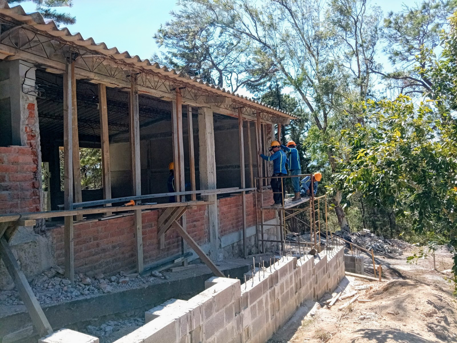 Imagen de la galería