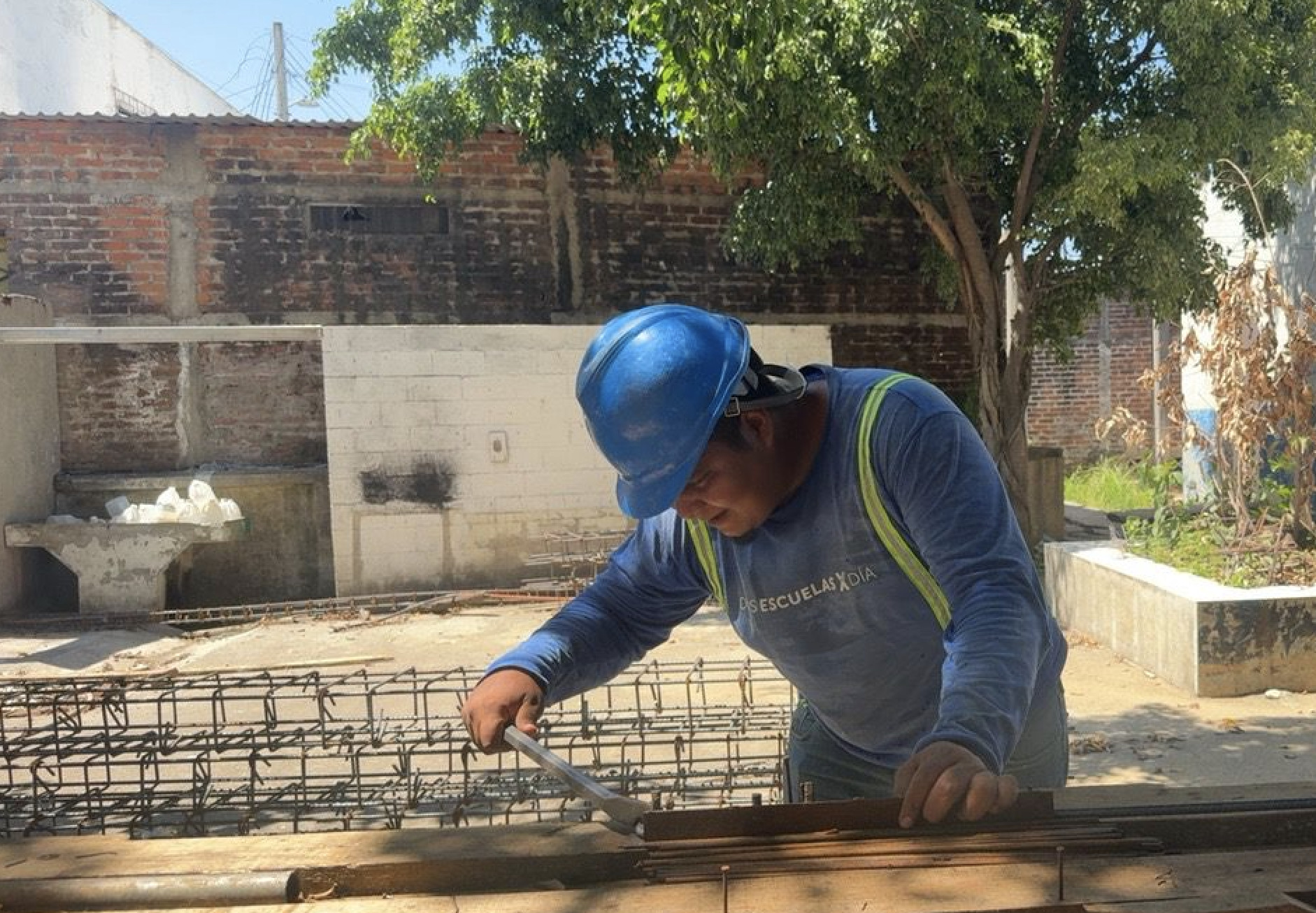 Imagen de la galería