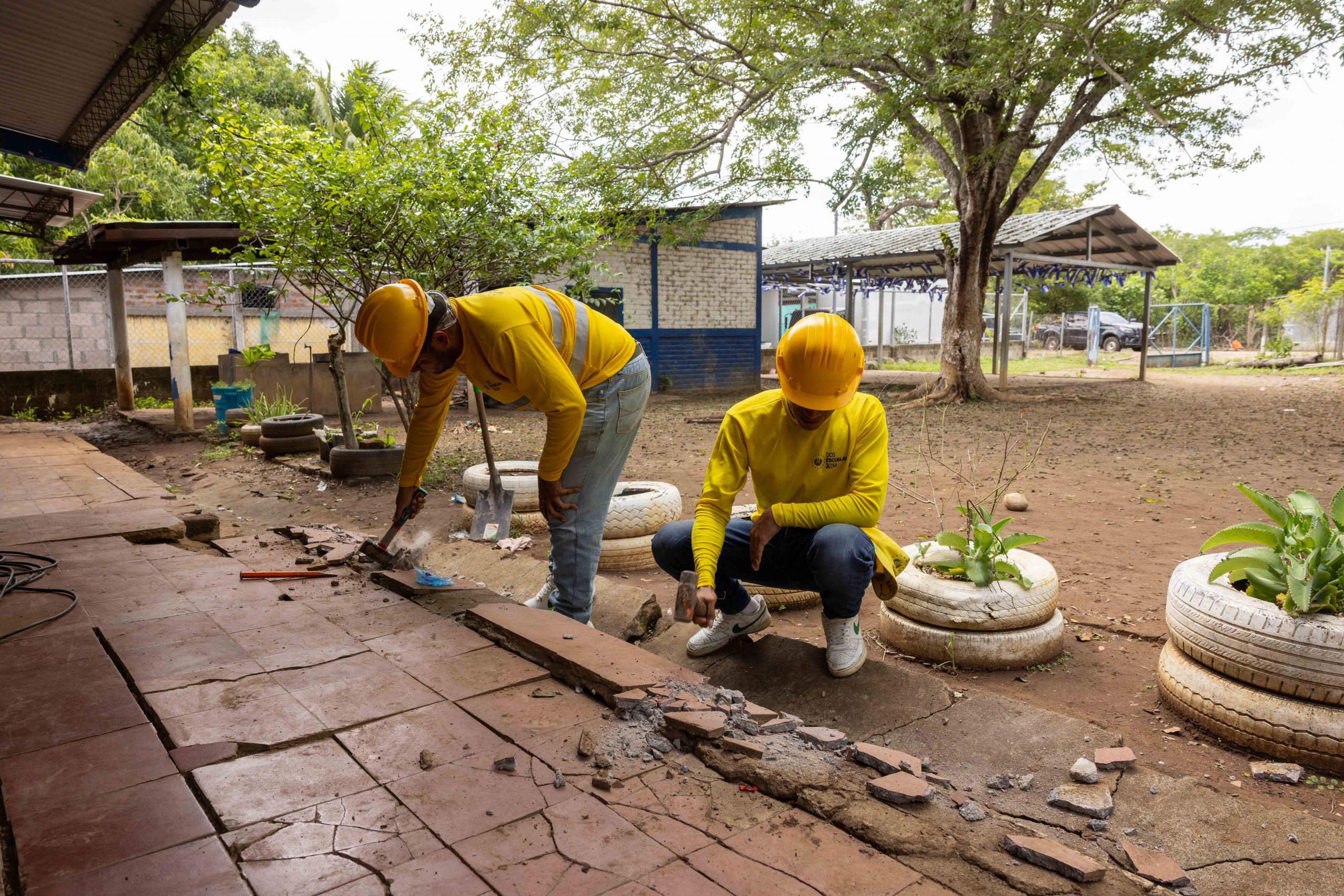 Imagen de la galería