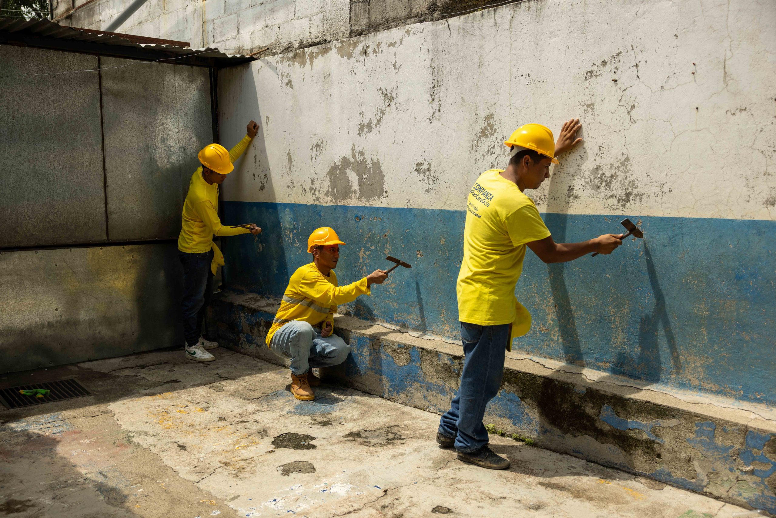Imagen de la galería