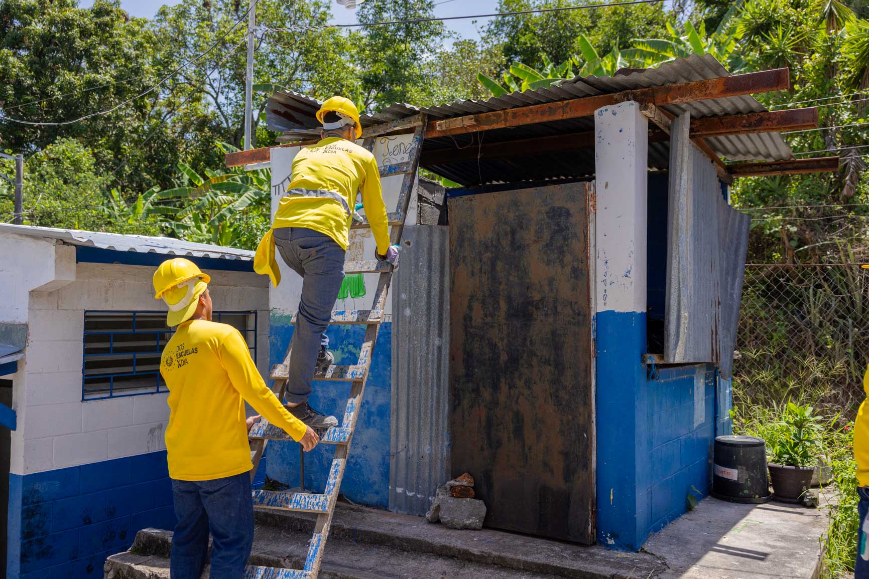 Imagen de la galería