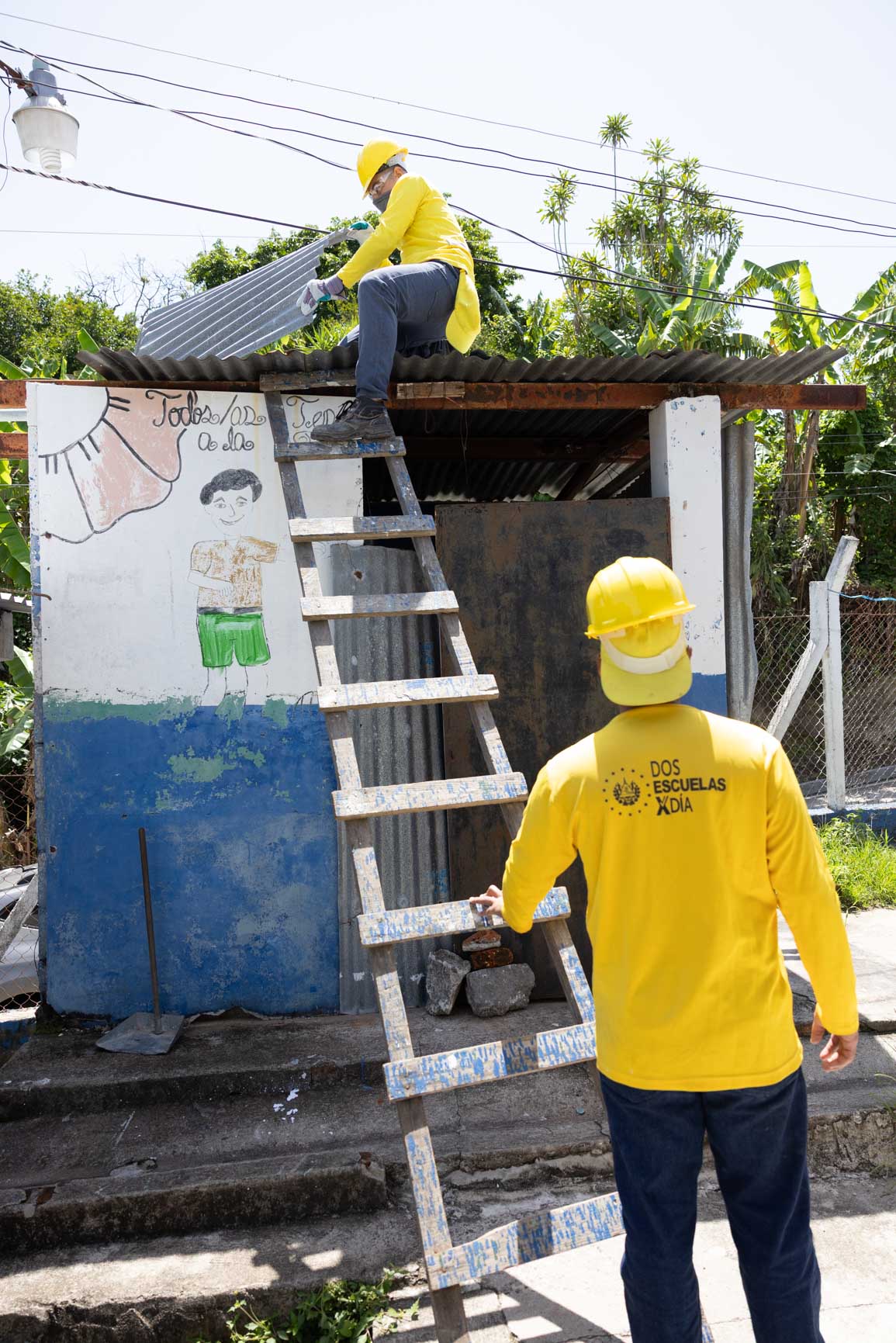 Imagen de la galería