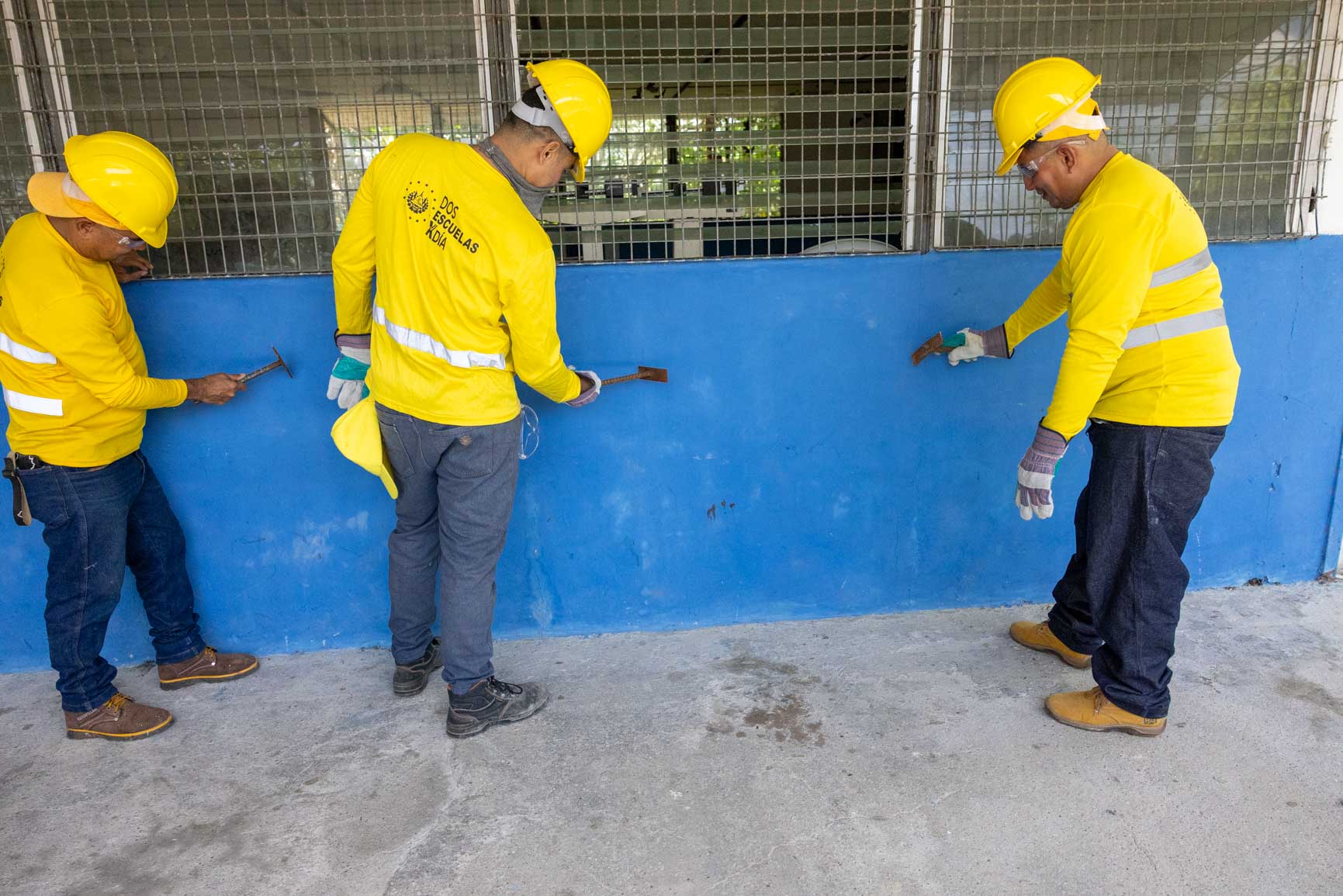 Imagen de la galería