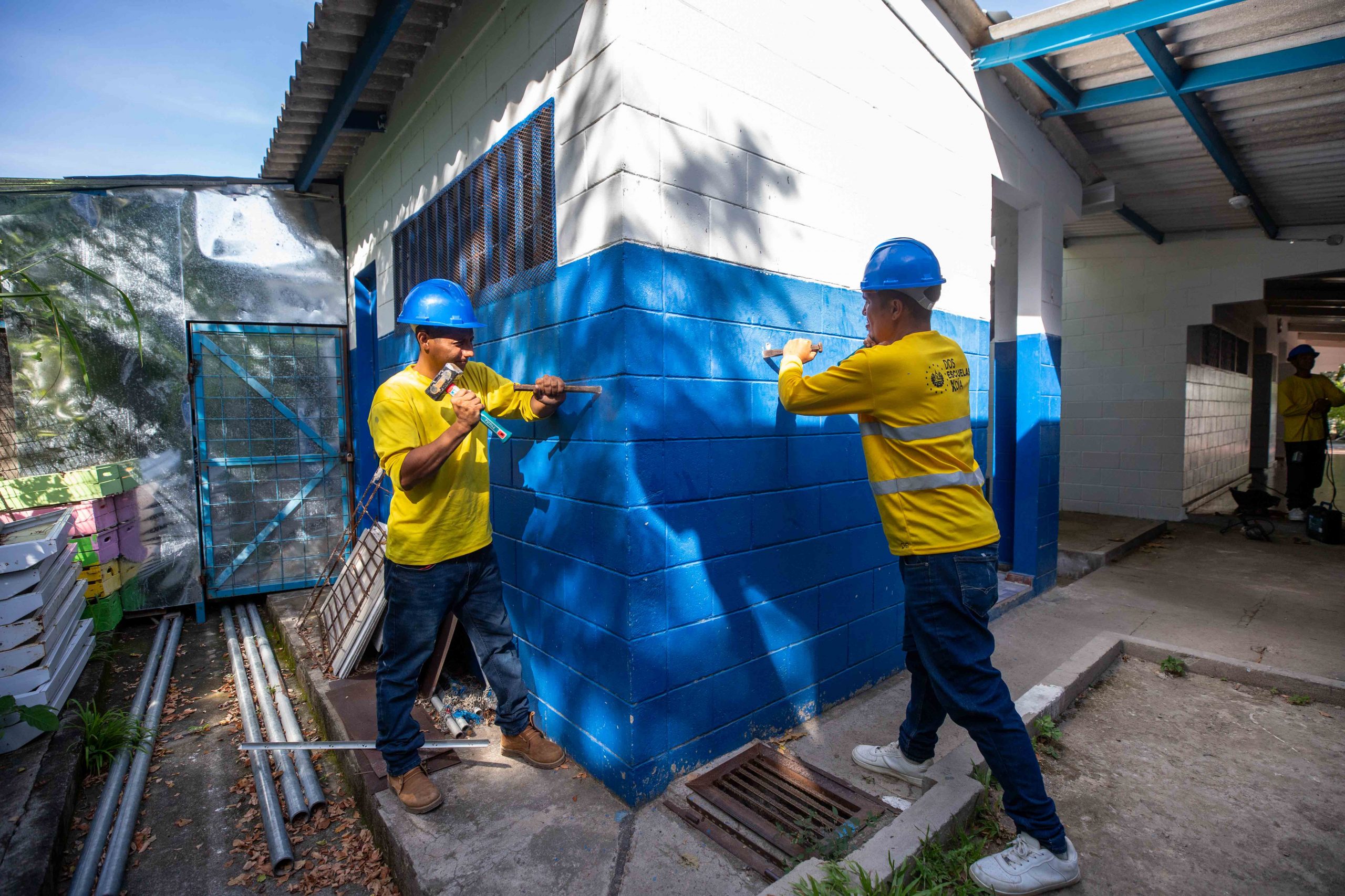 Imagen de la galería