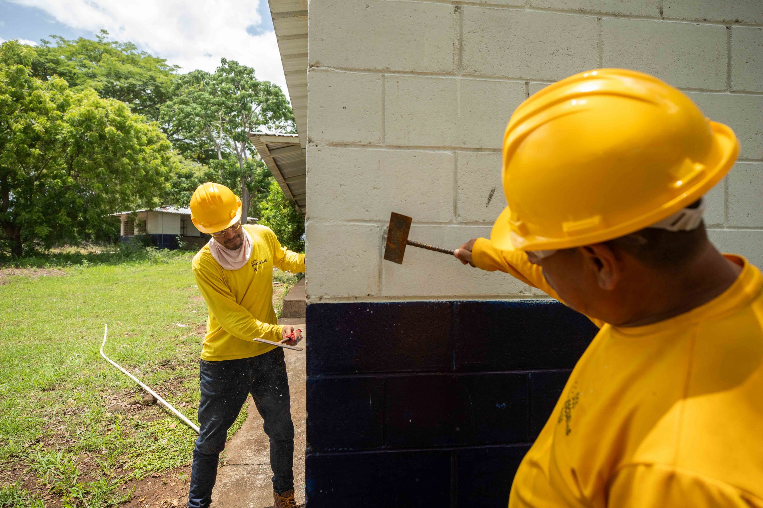 Imagen de la galería
