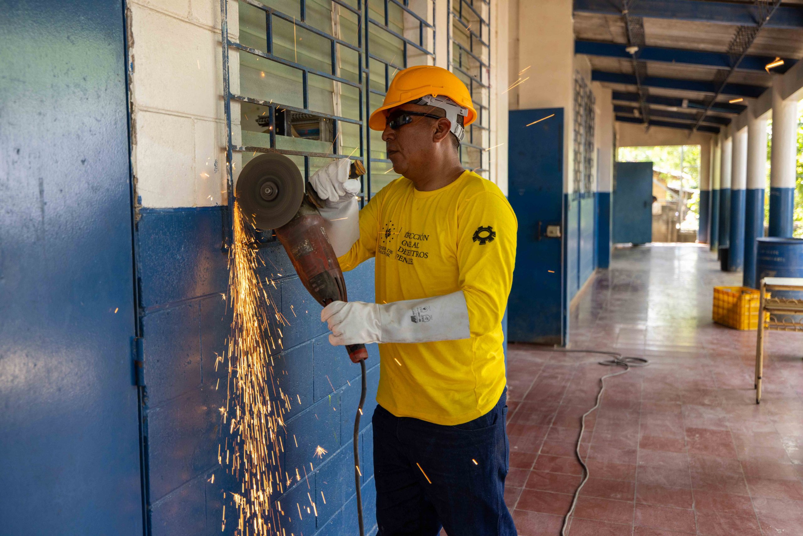 Imagen de la galería
